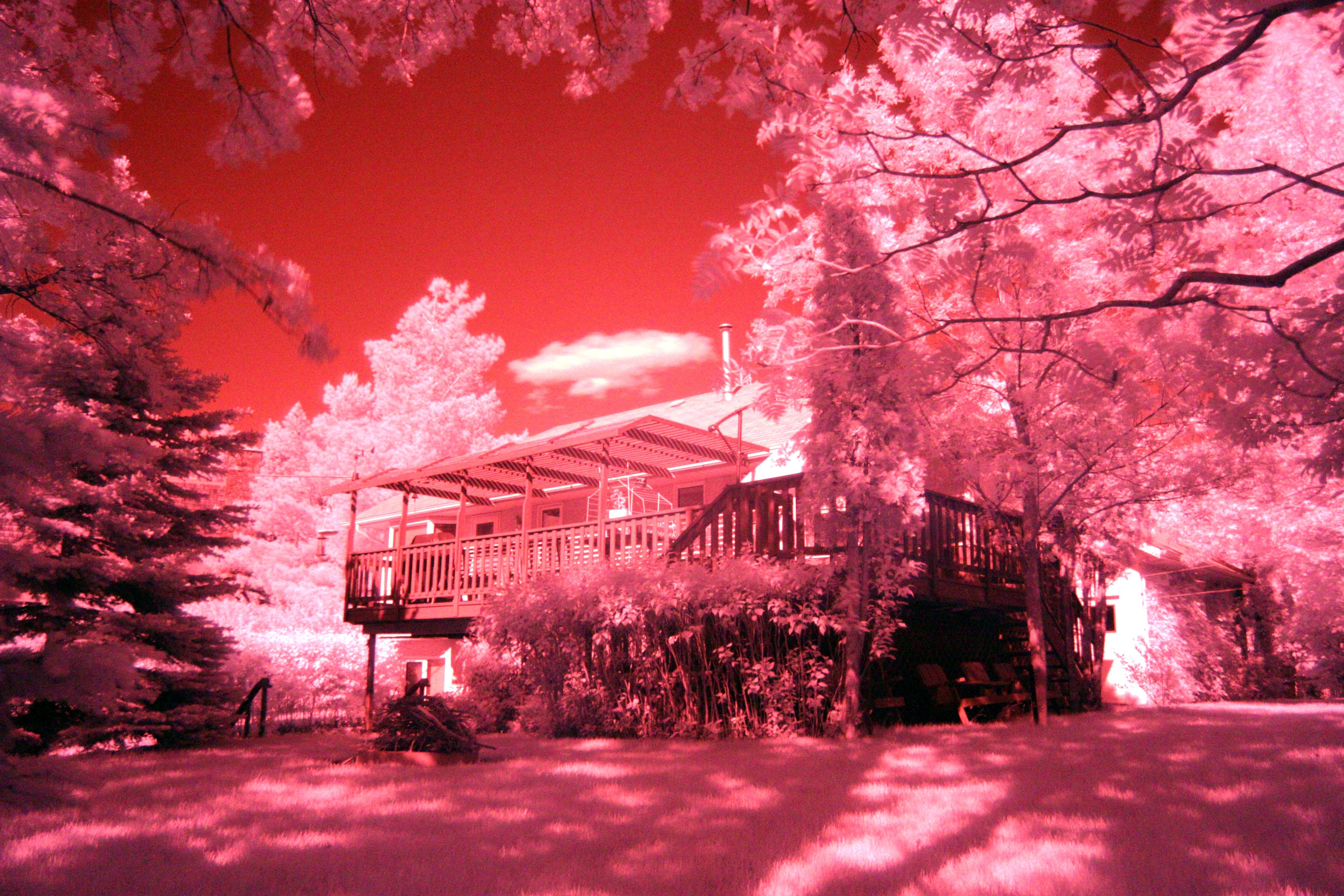 Photography Infrared 4000x2667