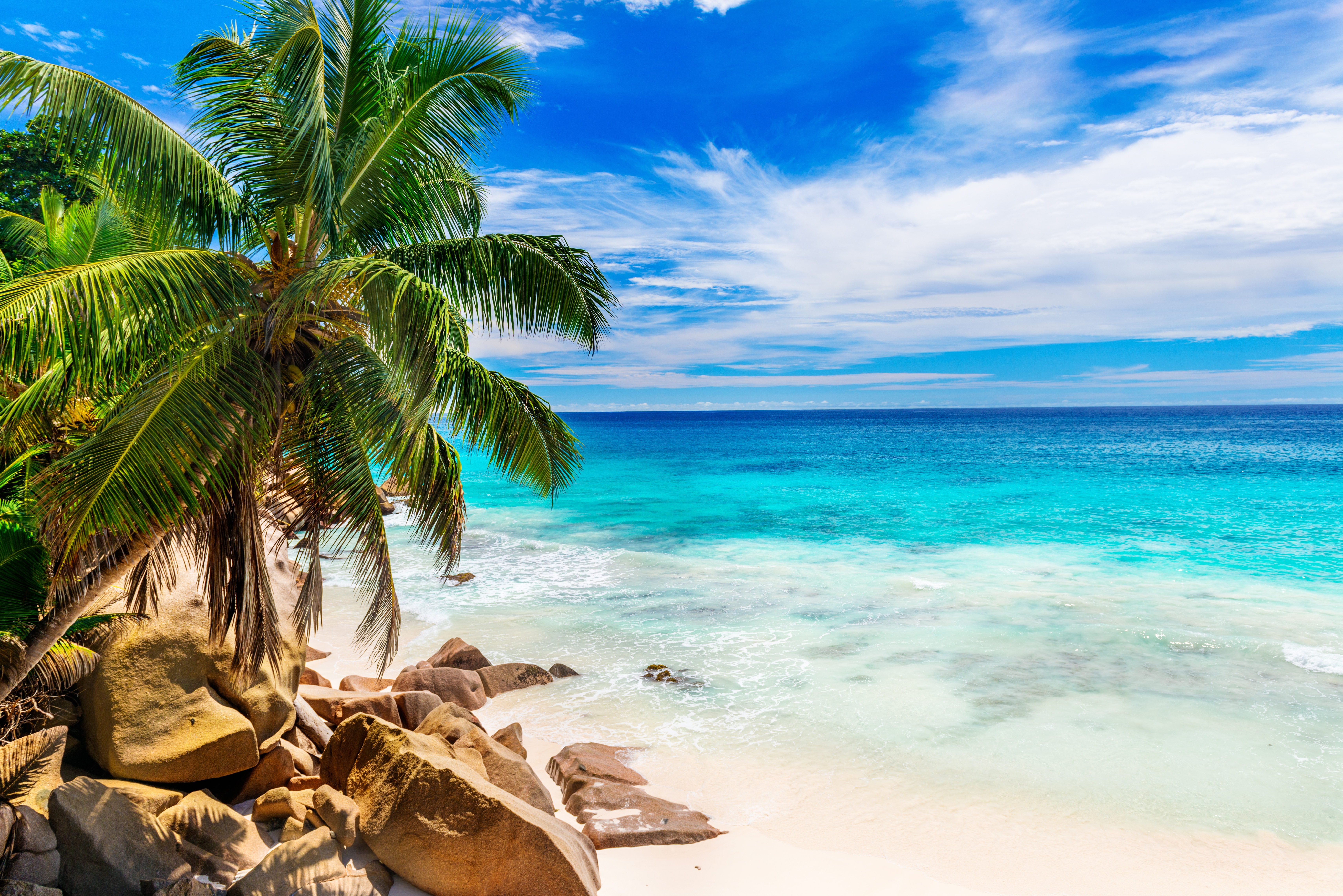 Beach Blue Earth Horizon Ocean Palm Tree Rock Seychelles Tropical Turquoise 6845x4568