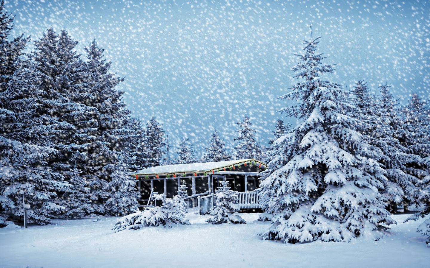 House Pine Snow Snowfall Tree Winter 1440x900