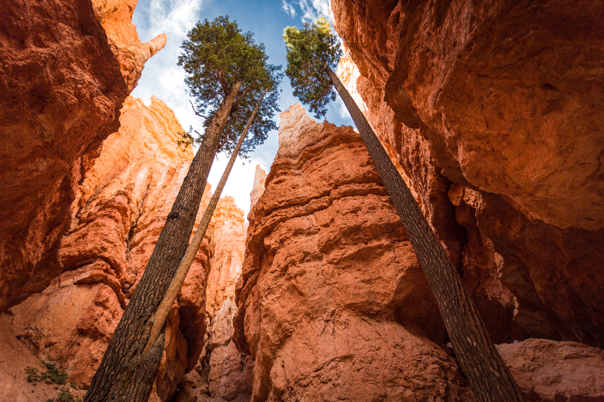 Earth Bryce Canyon National Park 1920x1280