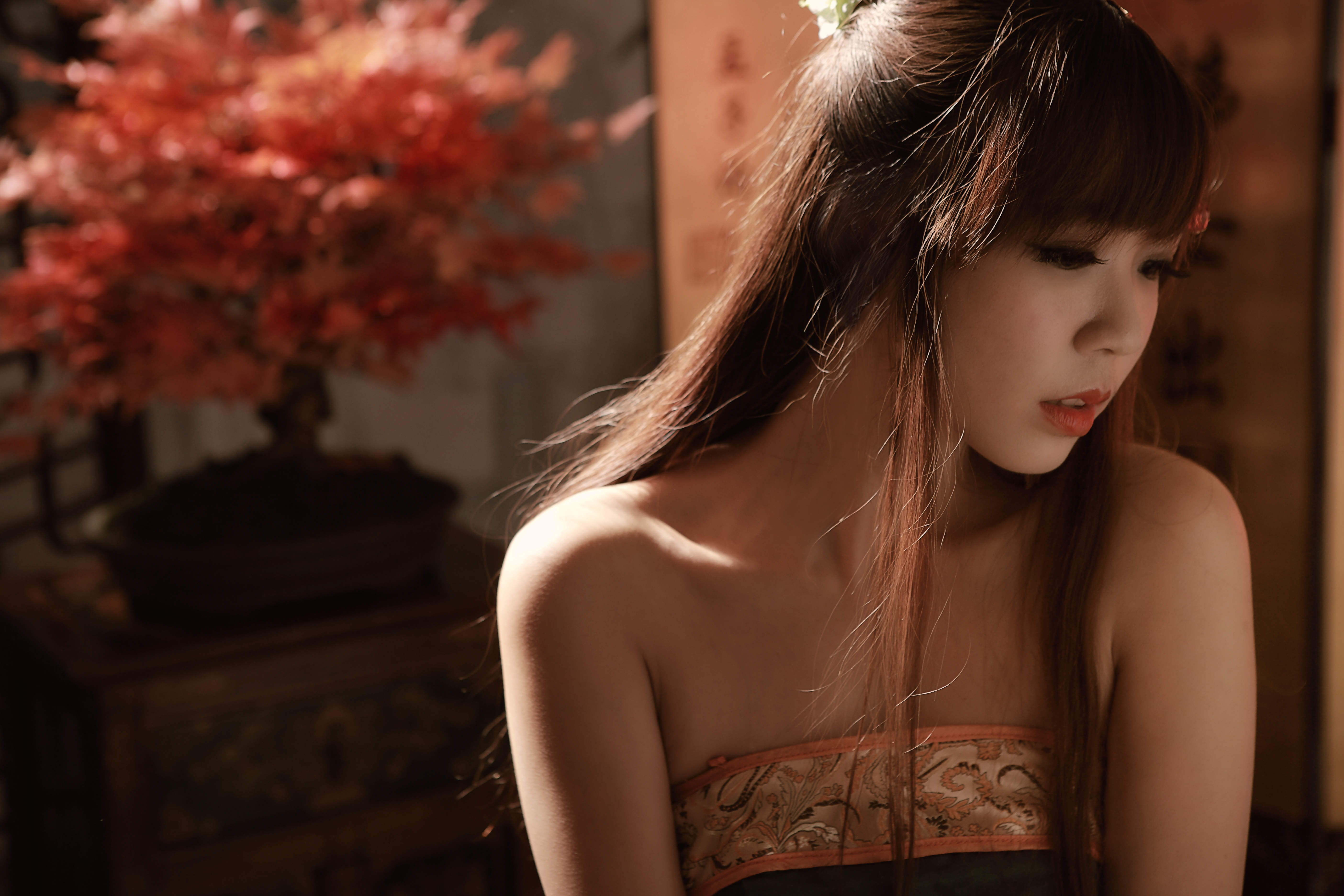 Asian Bonsai Girl National Dress Sa Lin Taiwanese Woman 5616x3744