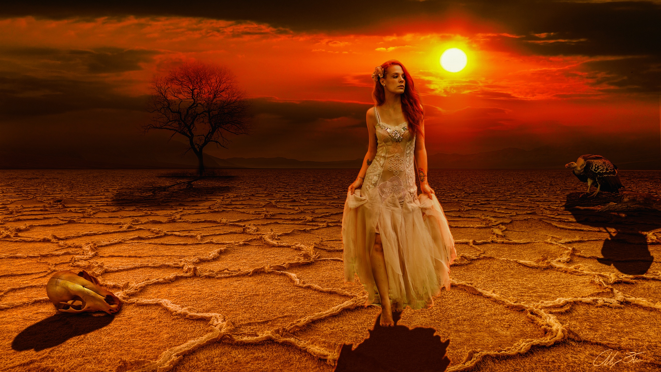 Bird Desert Fantasy Red Sunset Vulture Woman Orange Color 2560x1440