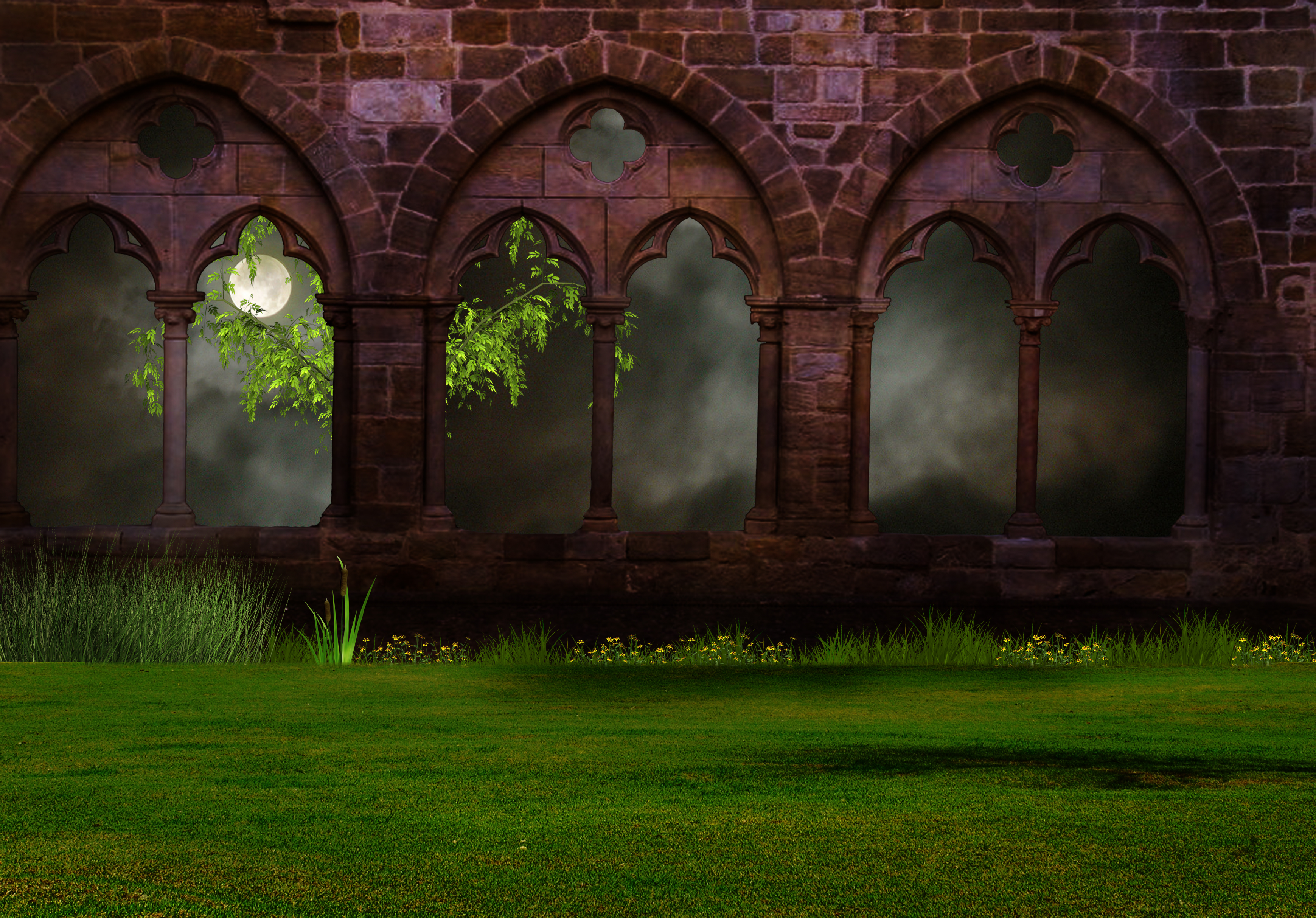 Arch Artistic Grass Moon Night Window 3479x2427