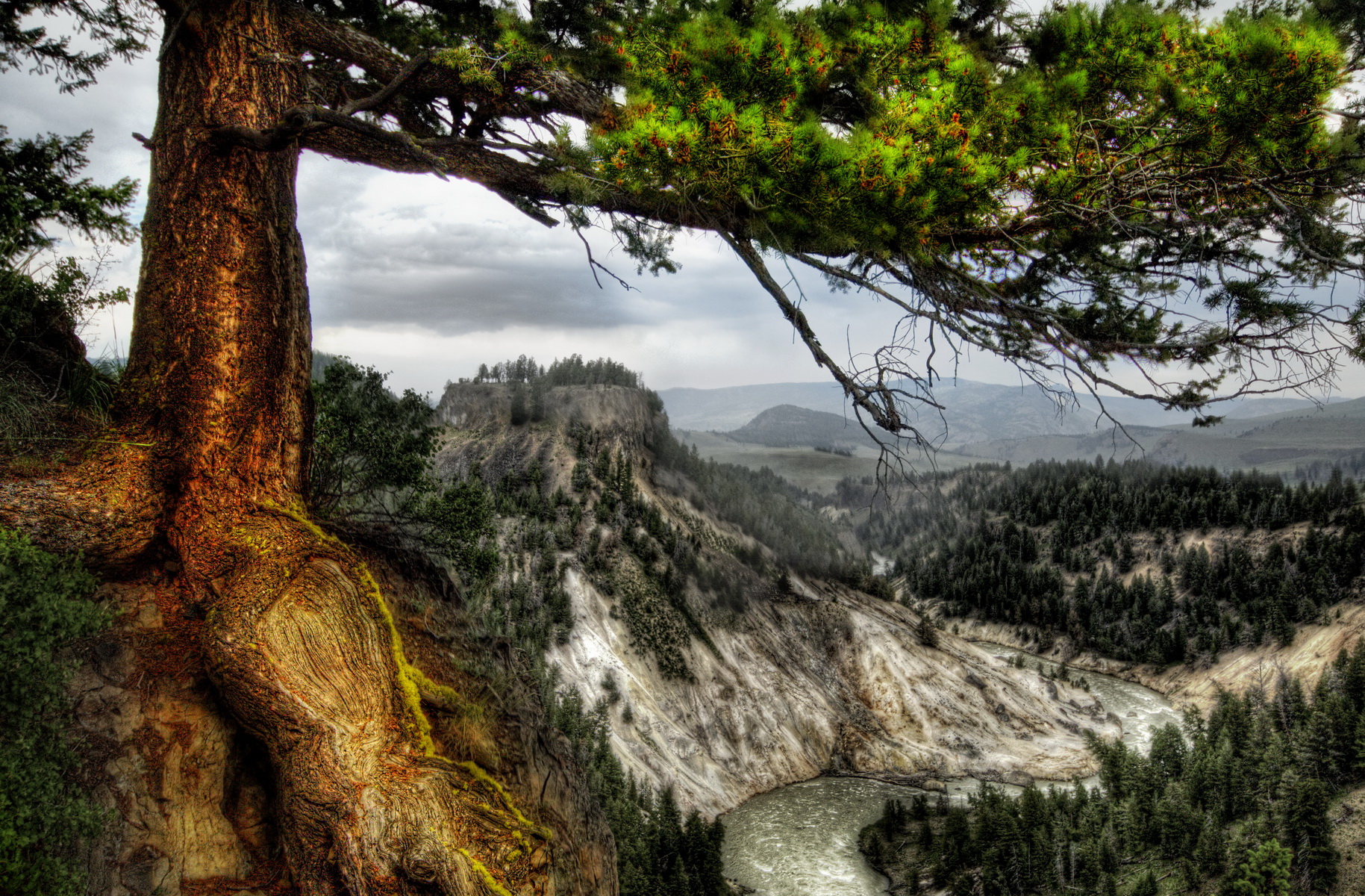 Earth Landscape Mountain Tree Yellowstone 1829x1200