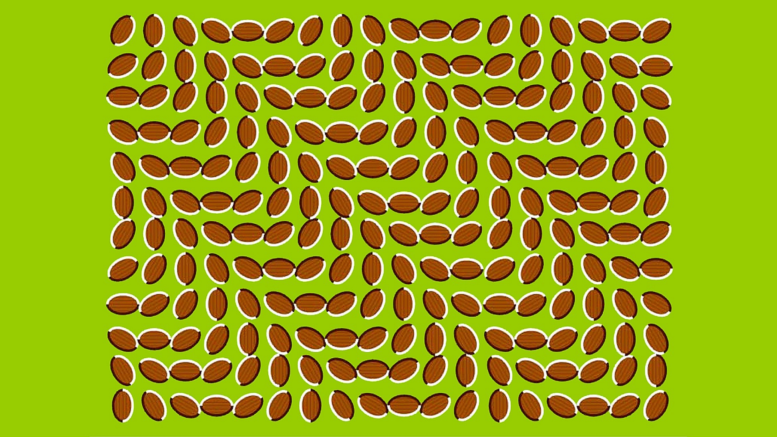 Artistic Illusion 2560x1440