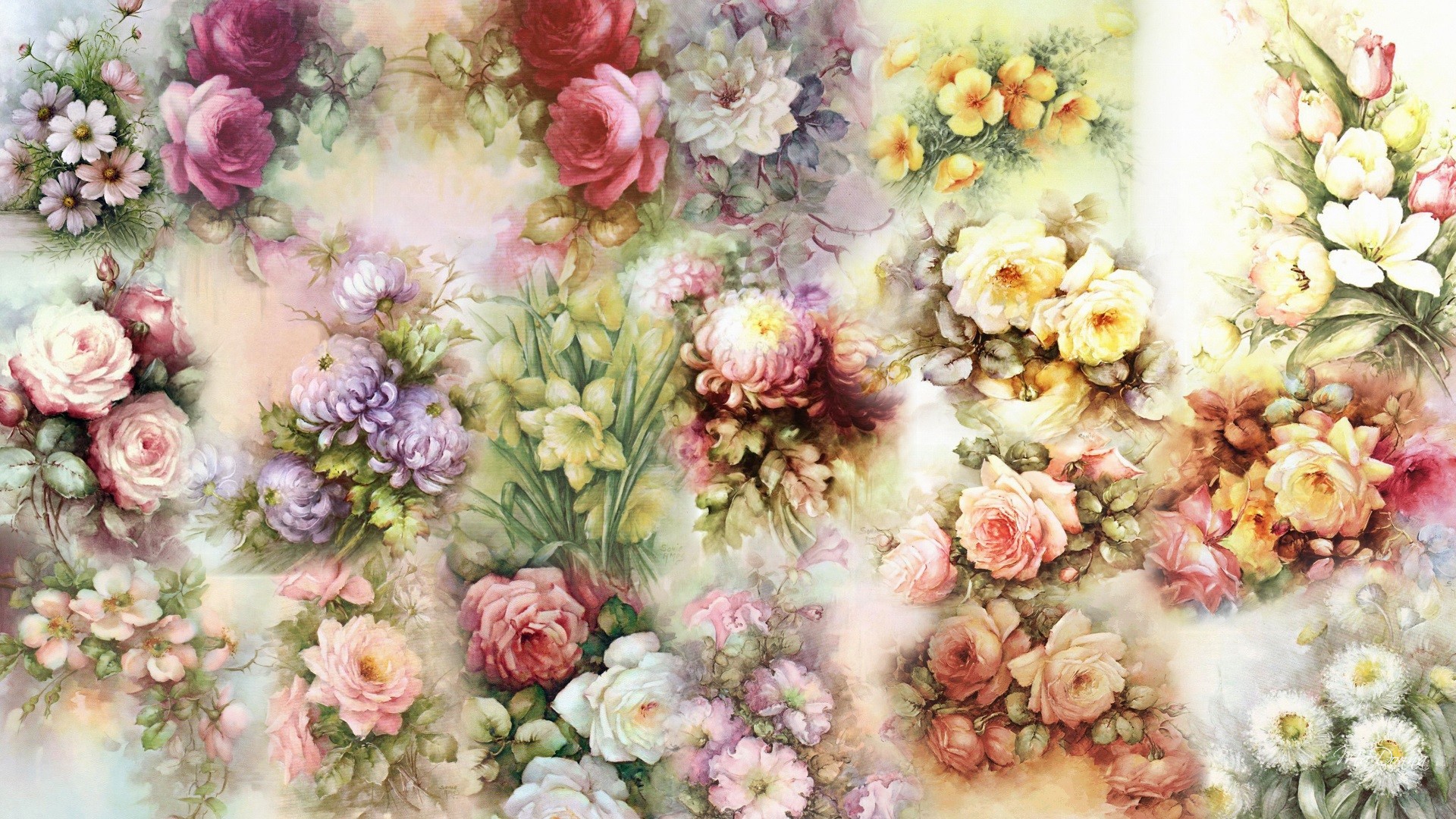 Artistic Collage Colorful Colors Floral Flower 1920x1080