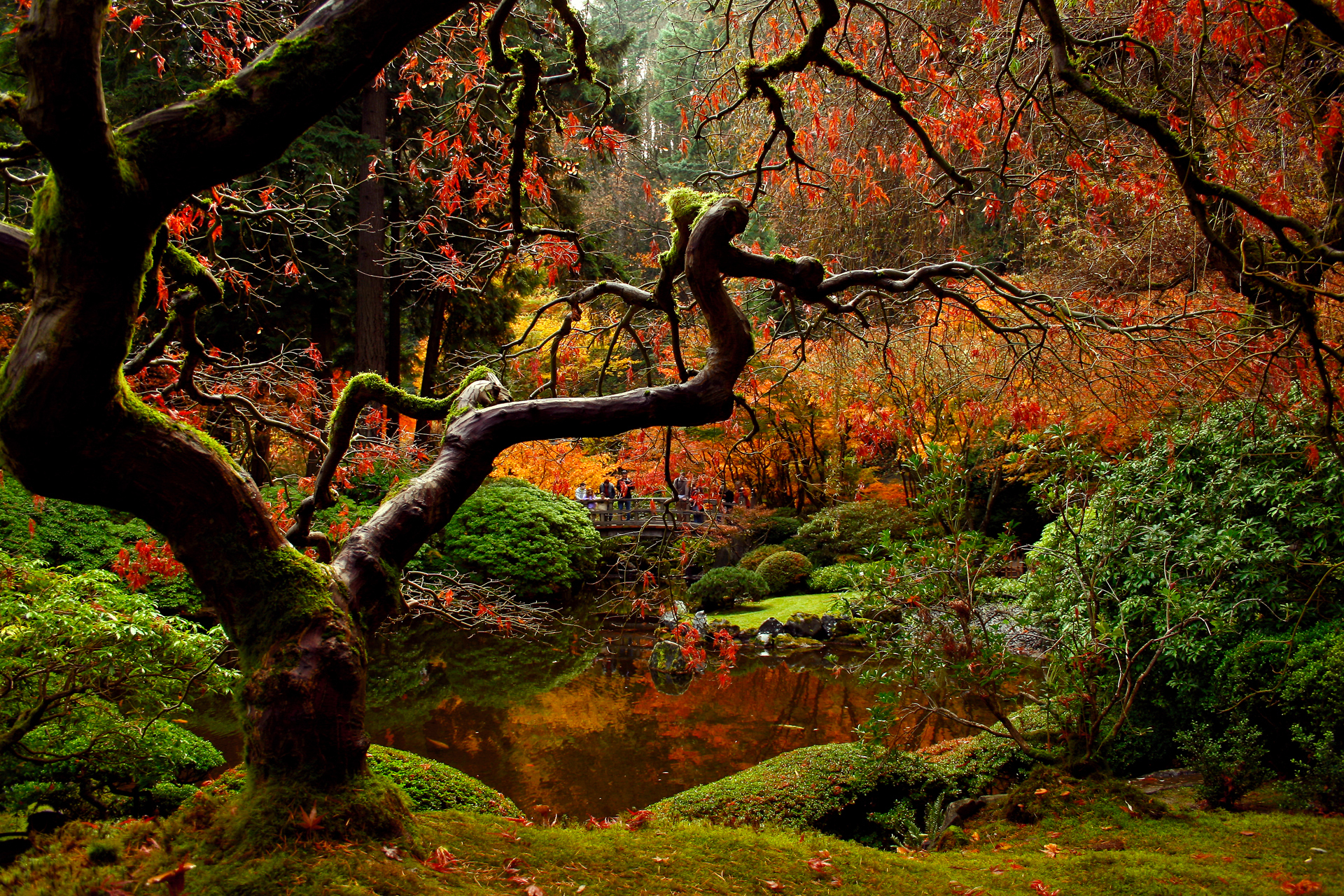 Fall Japan Japanese Garden 1920x1280