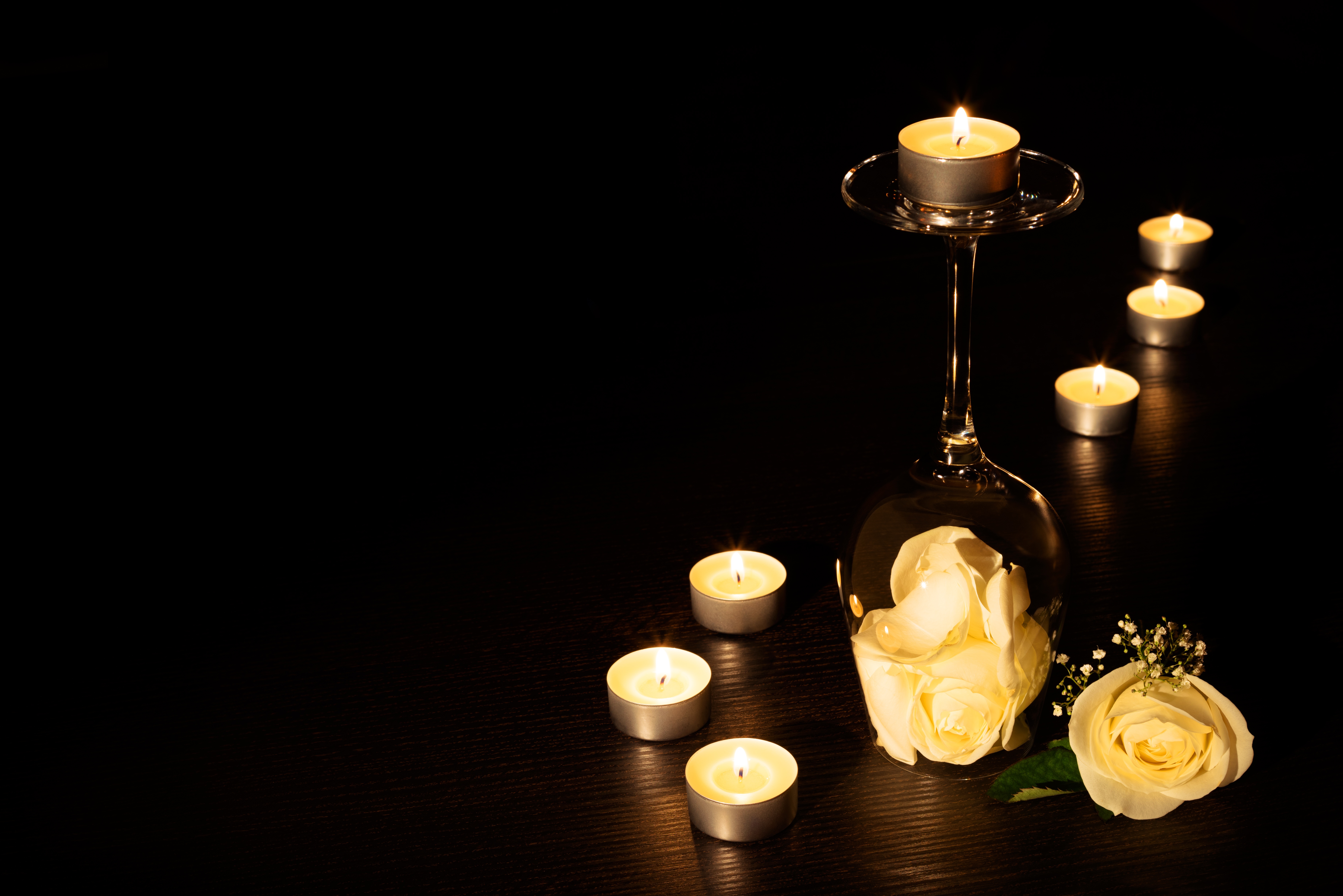 Candle Flower Glass Light Rose Yellow Rose 7360x4912