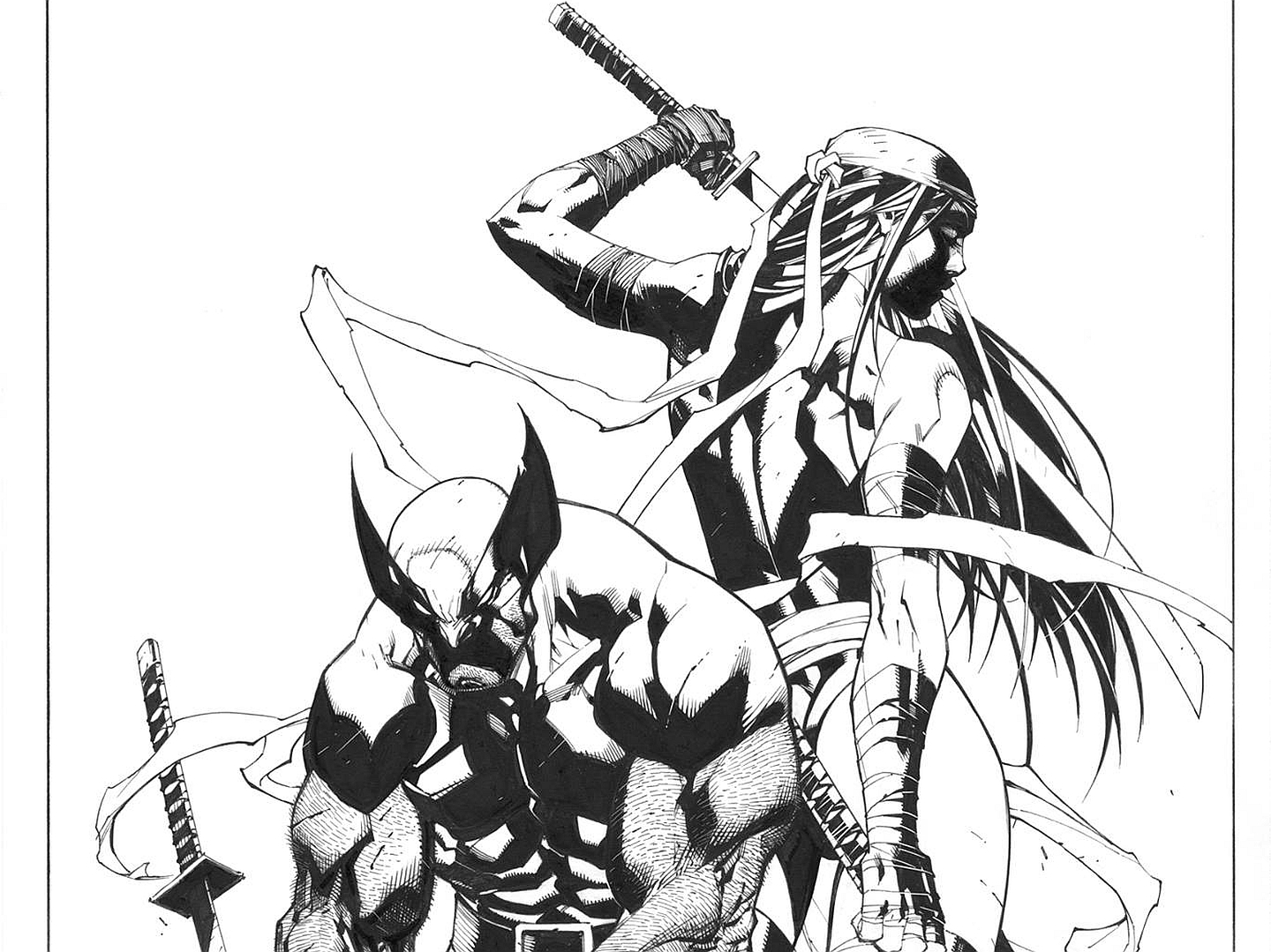 Elektra Marvel Comics Wolverine 1440x1079