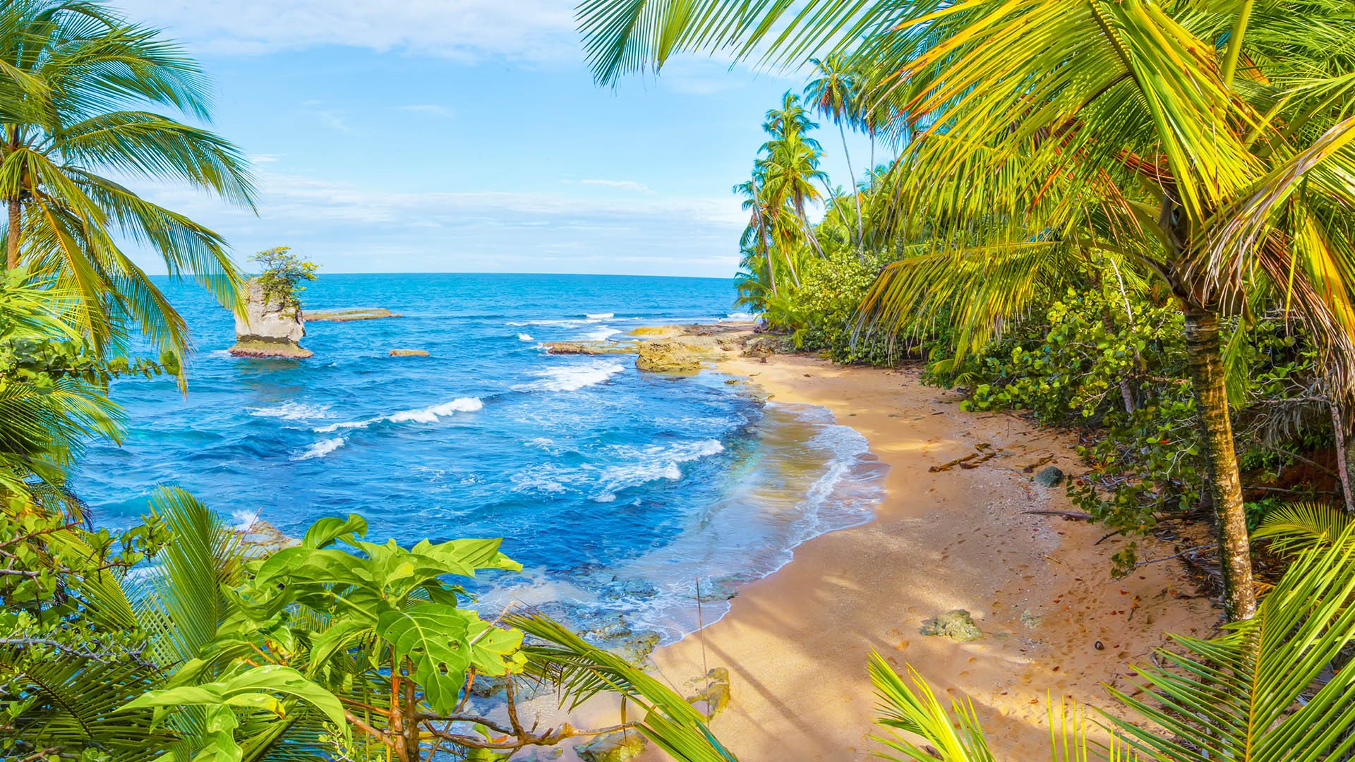 Nature Landscape Far View Trees Sand Rocks Waves Coconuts Horizon Clouds Sky Costa Rica Pacific Ocea 1920x1080
