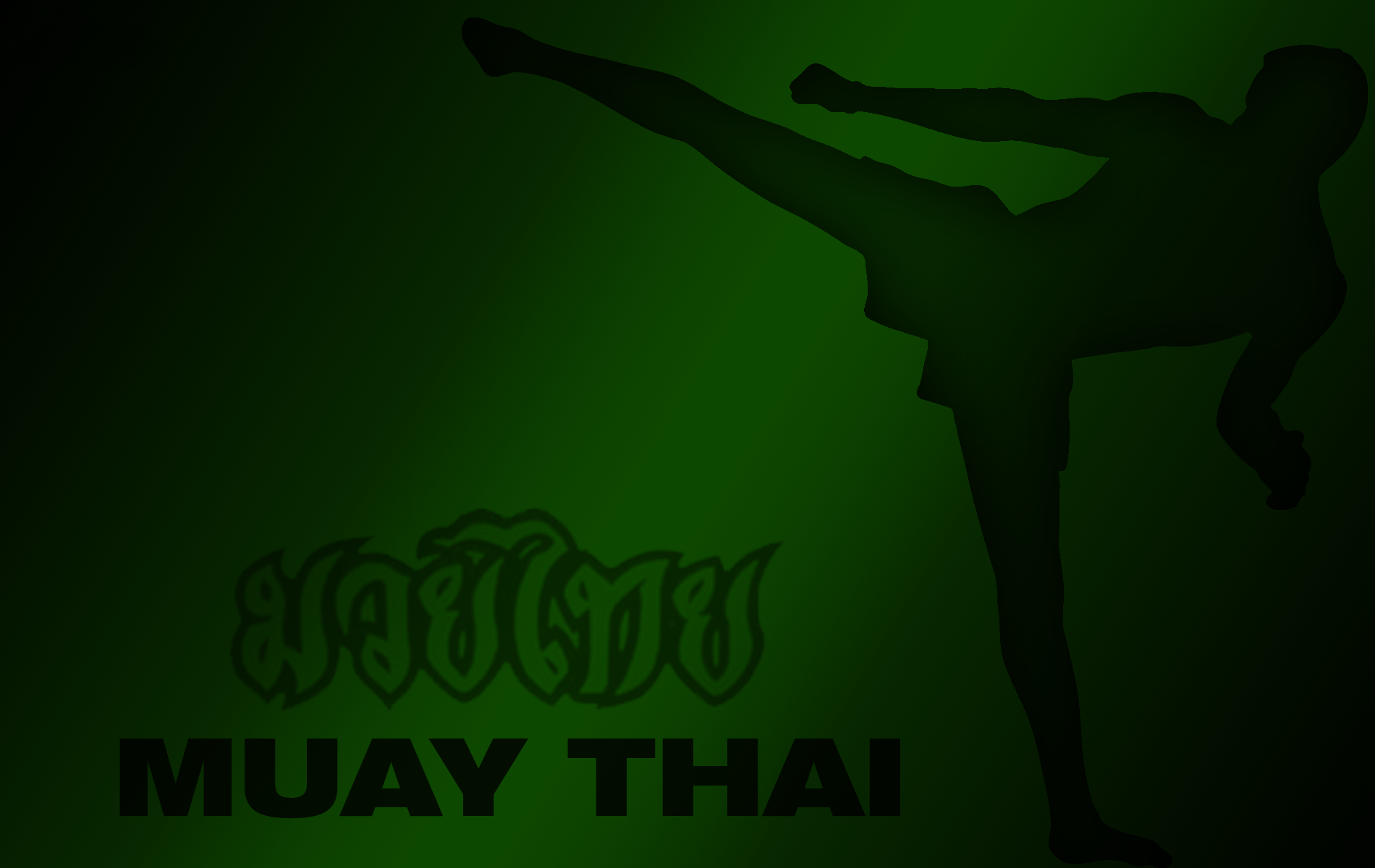 Sports Martial Arts 1900x1200