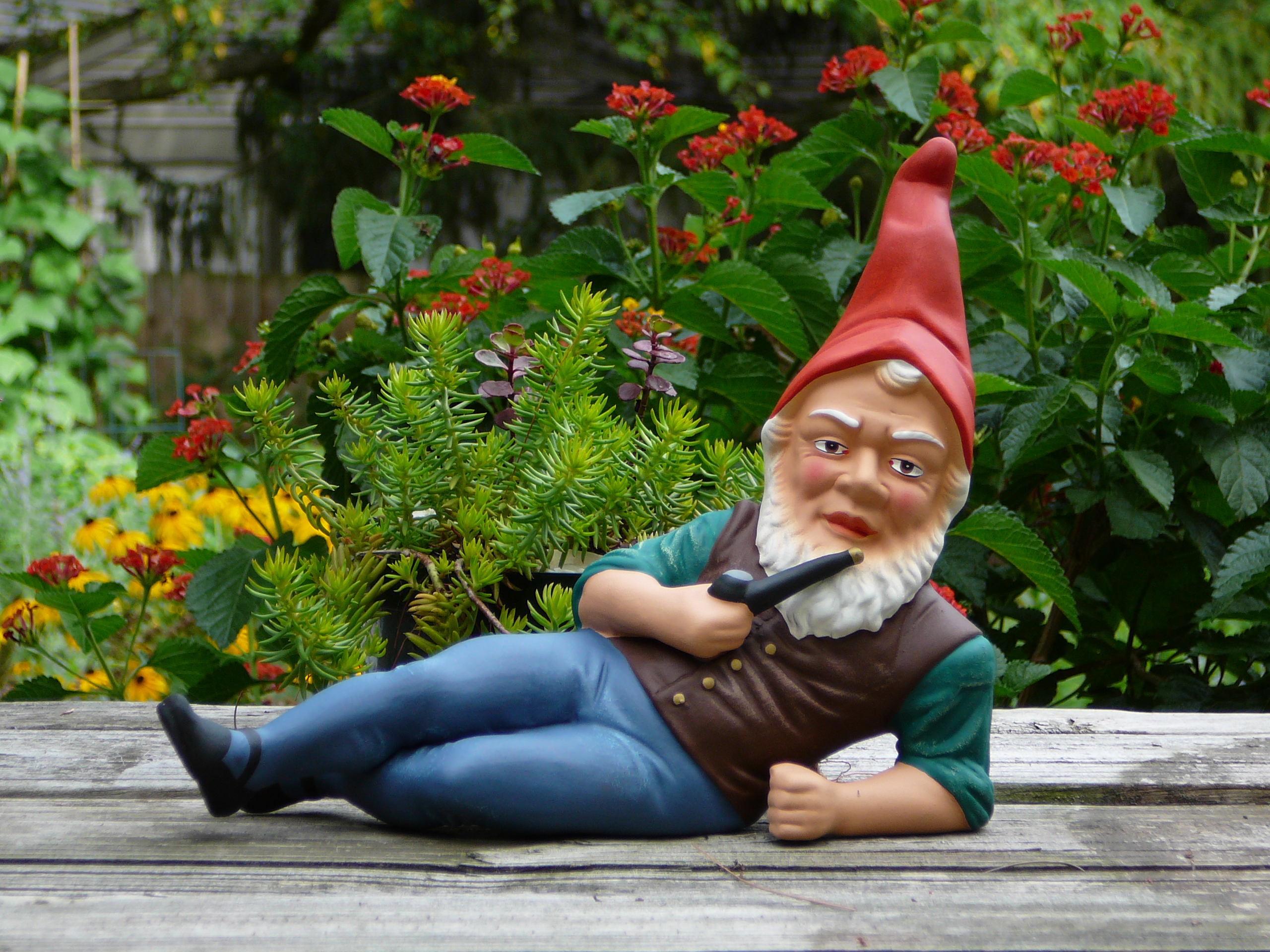 Garden Gnome Statue 2560x1920