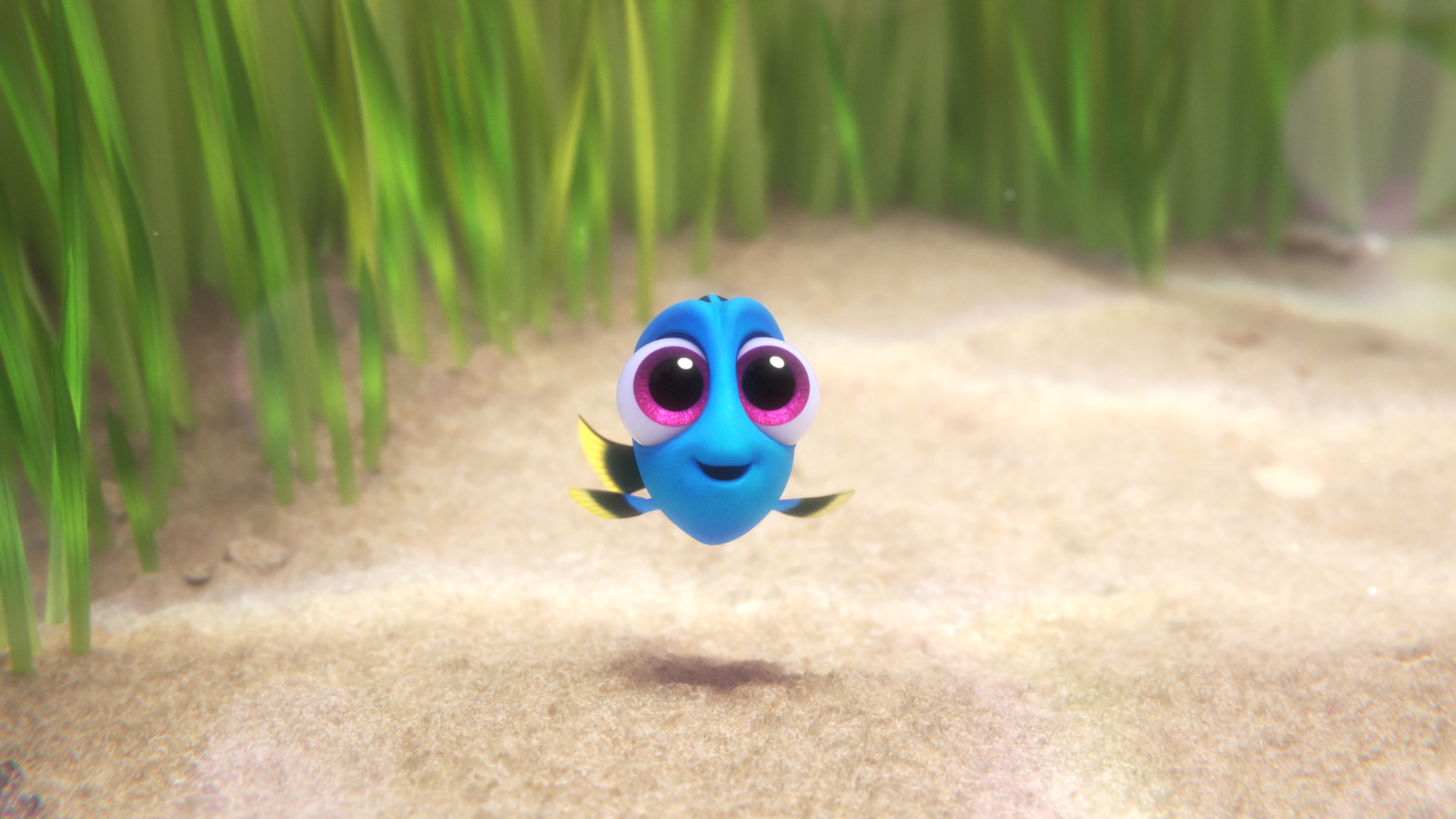 Dory Finding Nemo Finding Dory 1920x1080
