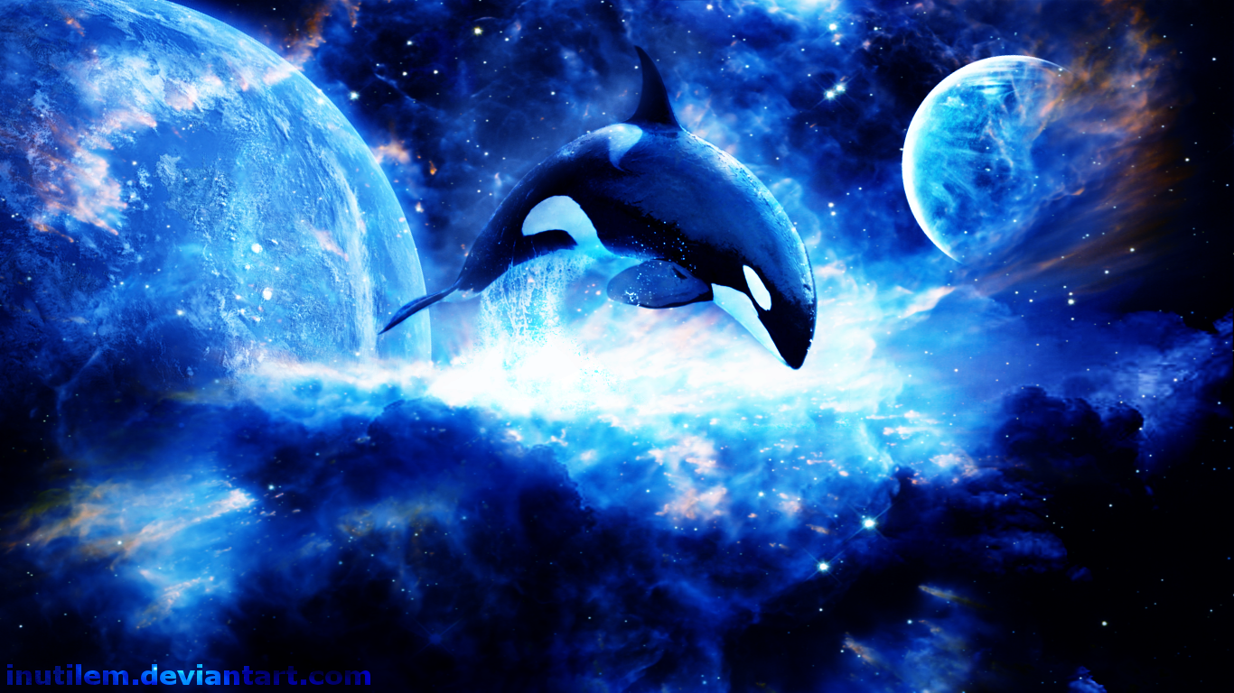 Killer Whale Orca Space 1366x768