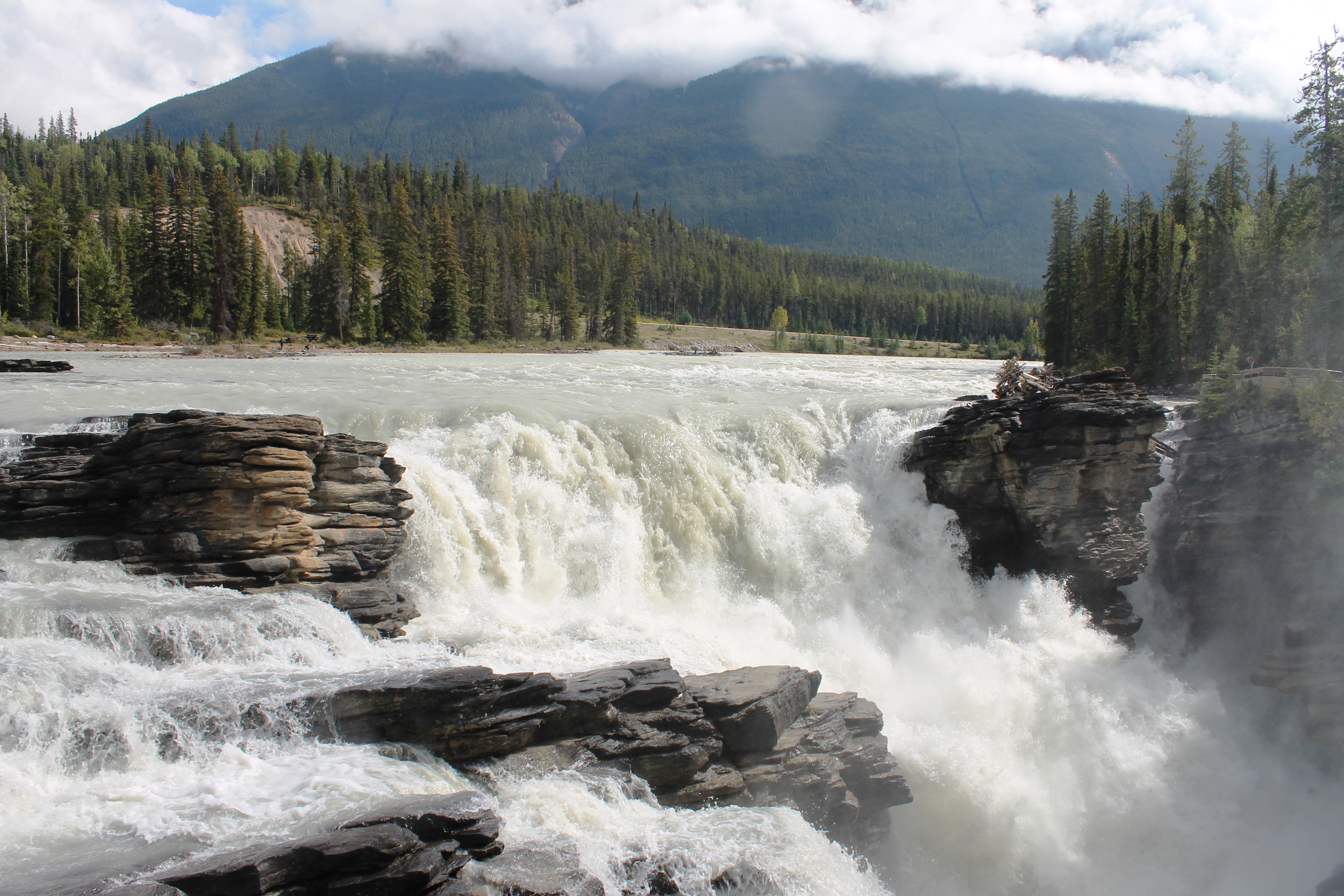 Athabasca Falls Canada Forest Jasper National Park Nature River Rock Waterfall 4272x2848