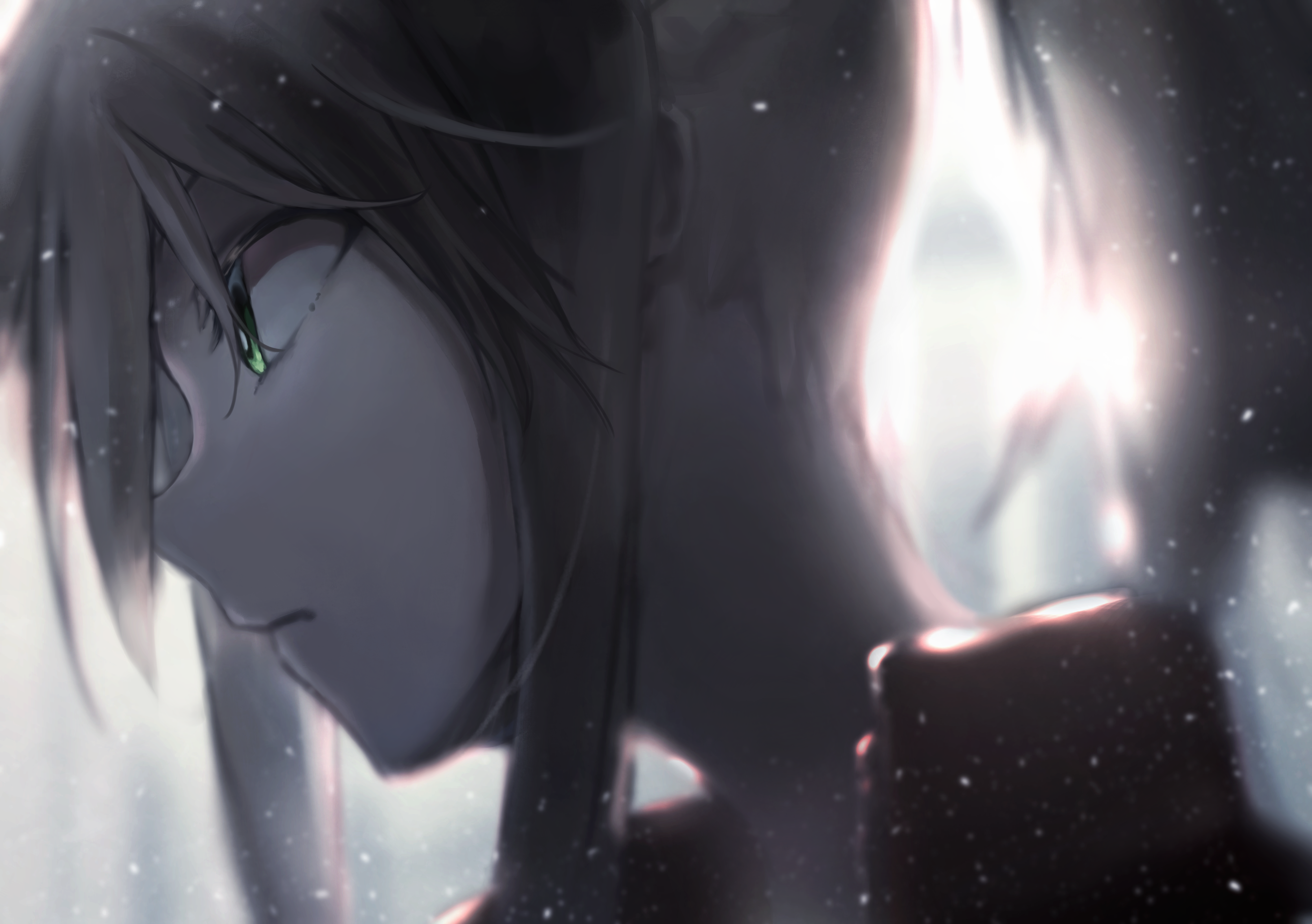 Fate Series FGO Fate Apocrypha Monochrome Red Jackets Long Hair Ponytail Looking Away Anime Girls 2D 5065x3568