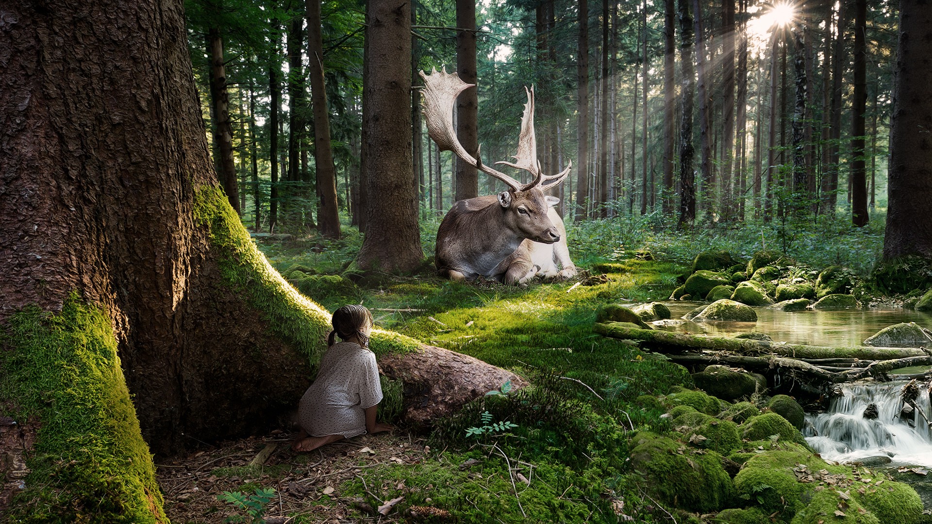 Animal Cgi Child Cute Digital Art Elk Forest Girl 1920x1080