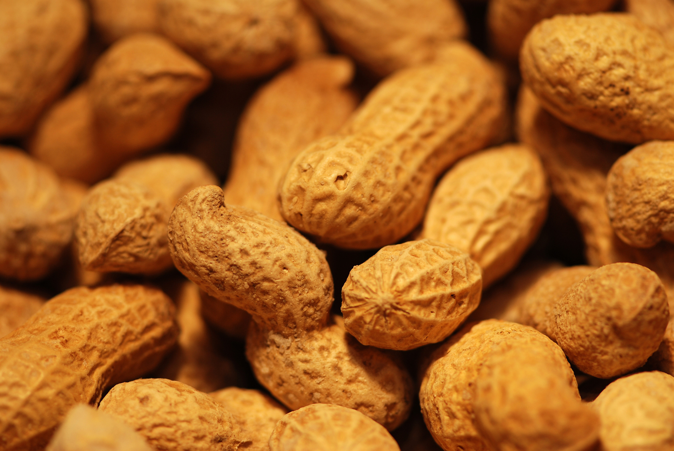 Food Peanut 2560x1714