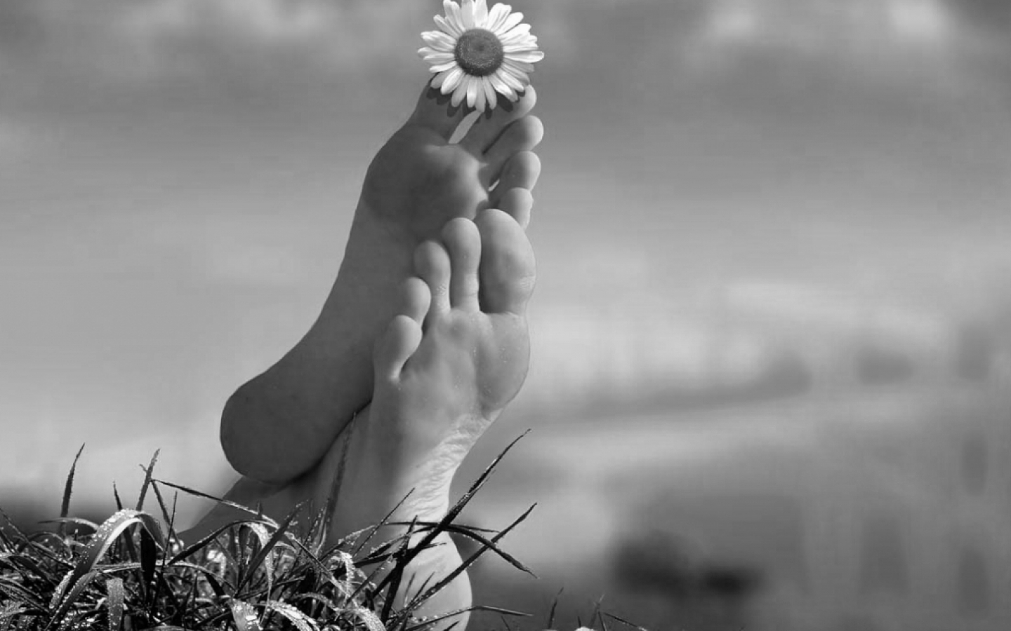 Black Amp White Feet Flower Legs Photography 1440x900