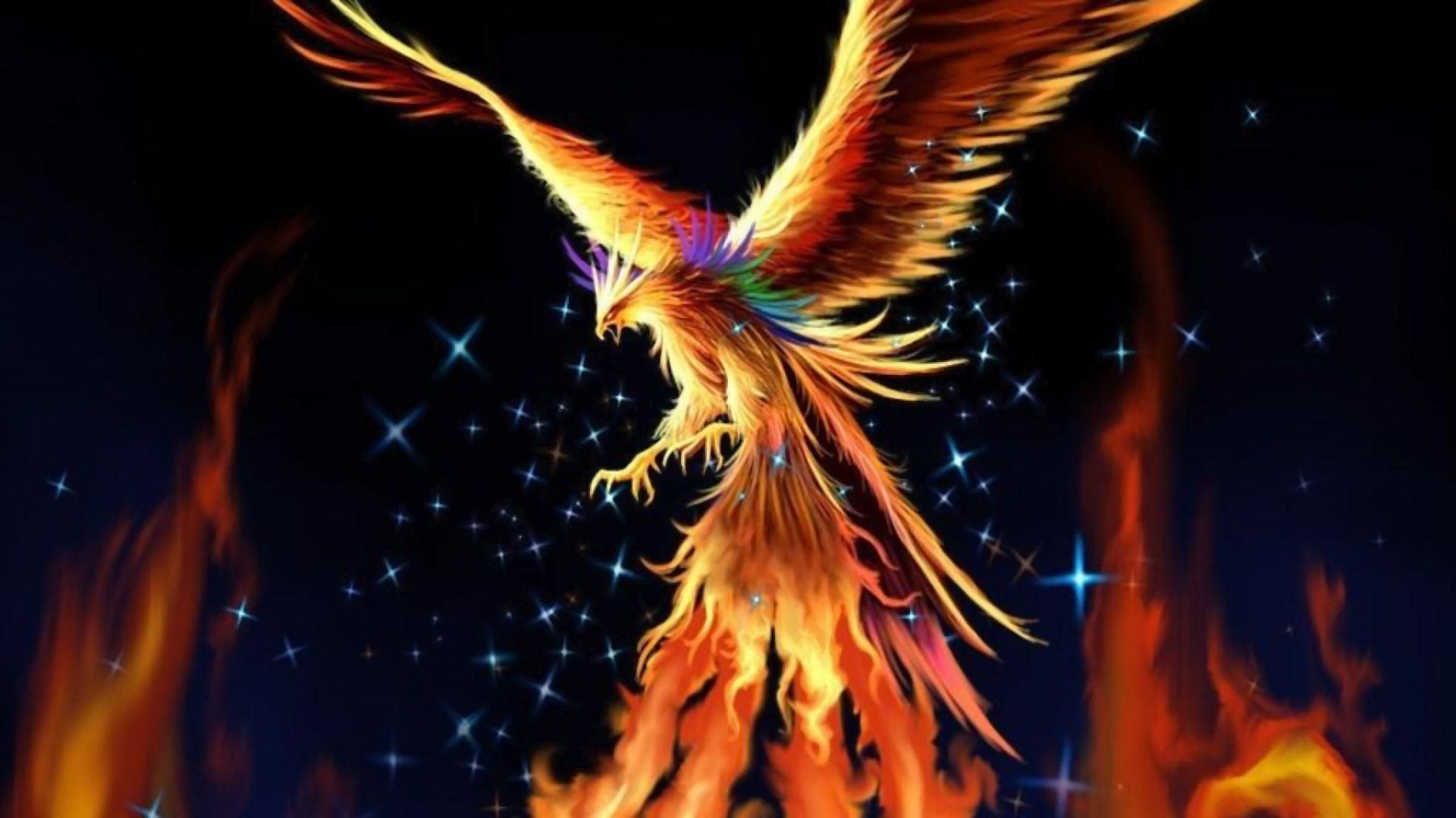 Artistic Bird Fire Phoenix 1920x1080