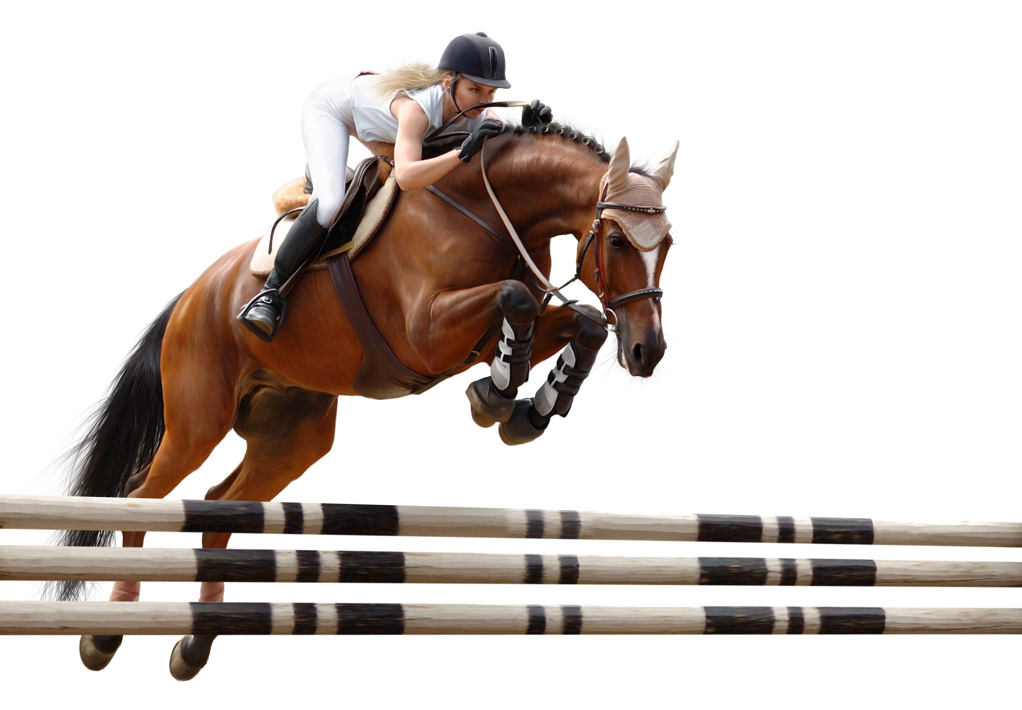 Sports Show Jumping 3532x2453
