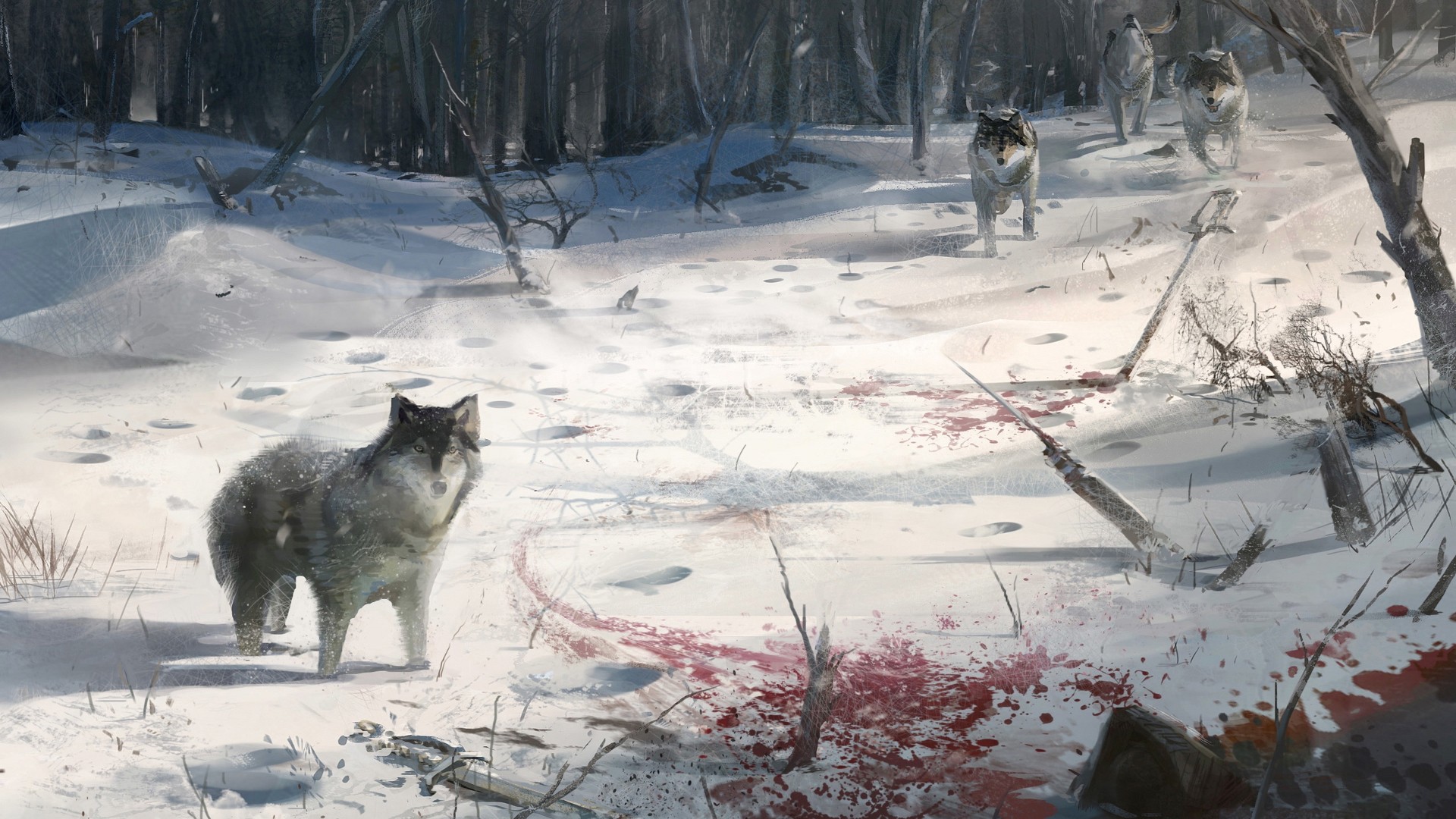 Assassin 039 S Creed Blood Drawing Snow Winter Wolf 1920x1080