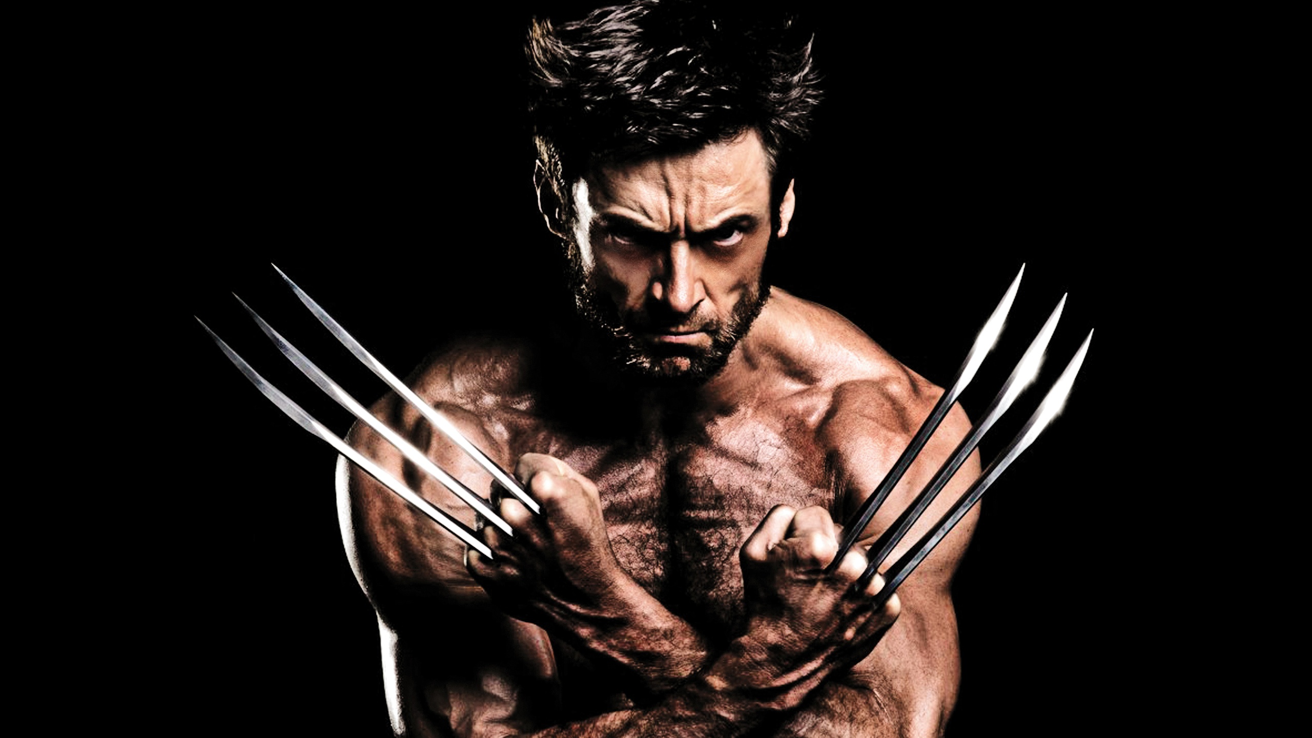 The Wolverine 2560x1440
