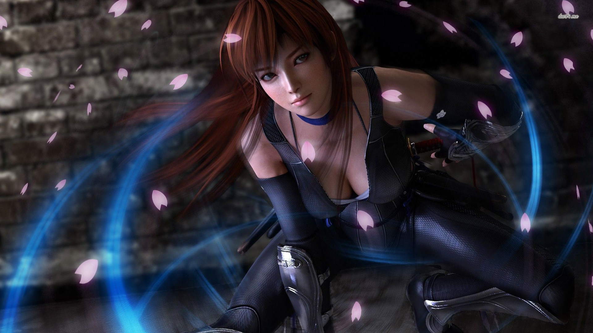 Video Game Dead Or Alive 5 1920x1080