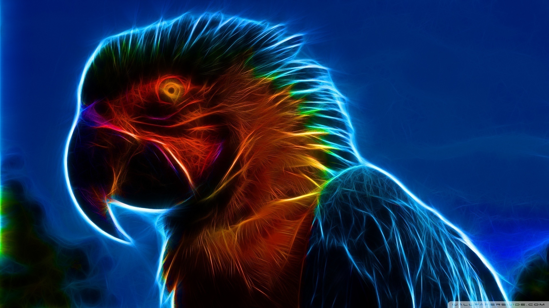 Animal Macaw 1920x1080