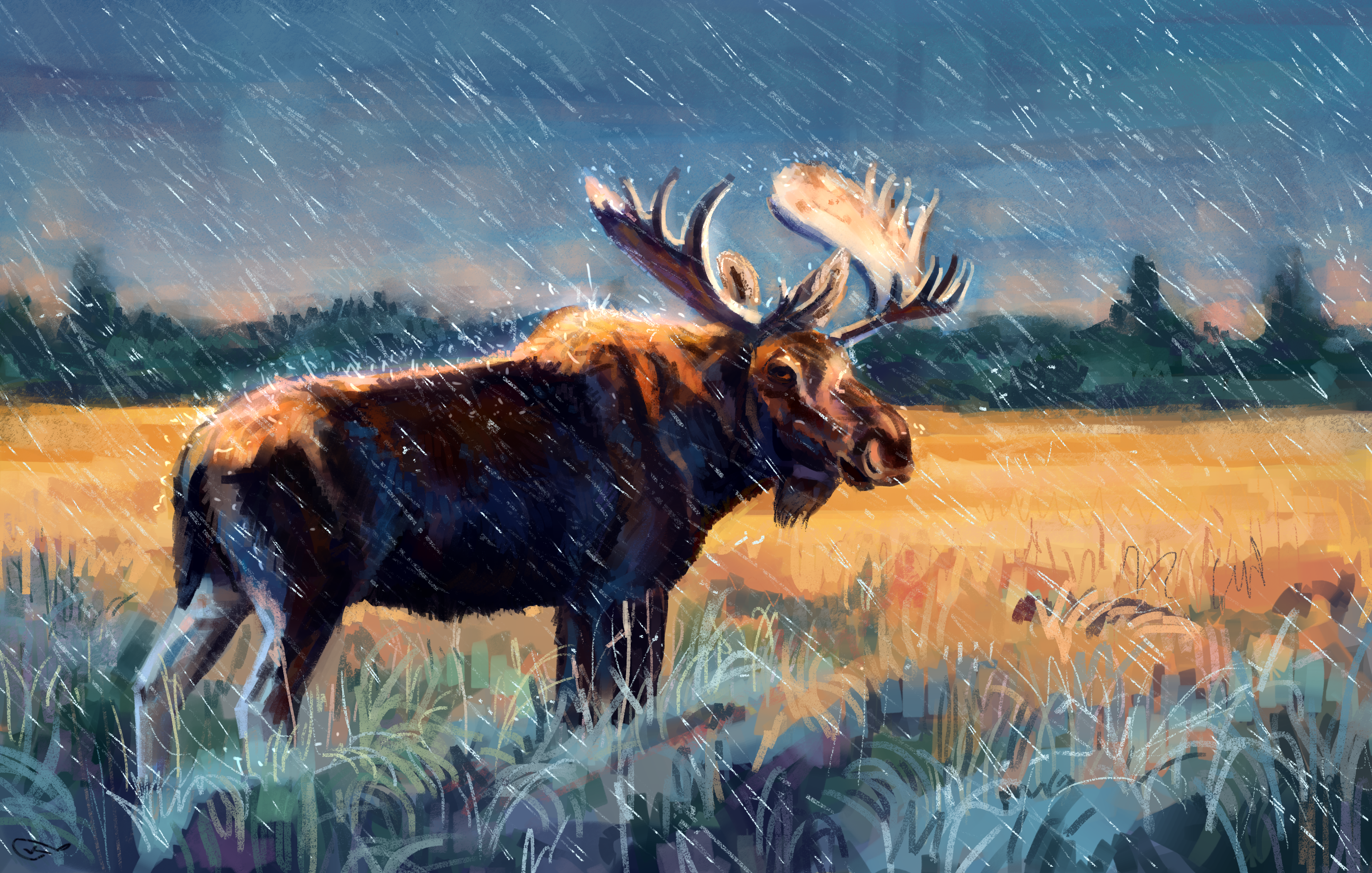 Artistic Elk Rain Wildlife 3300x2100