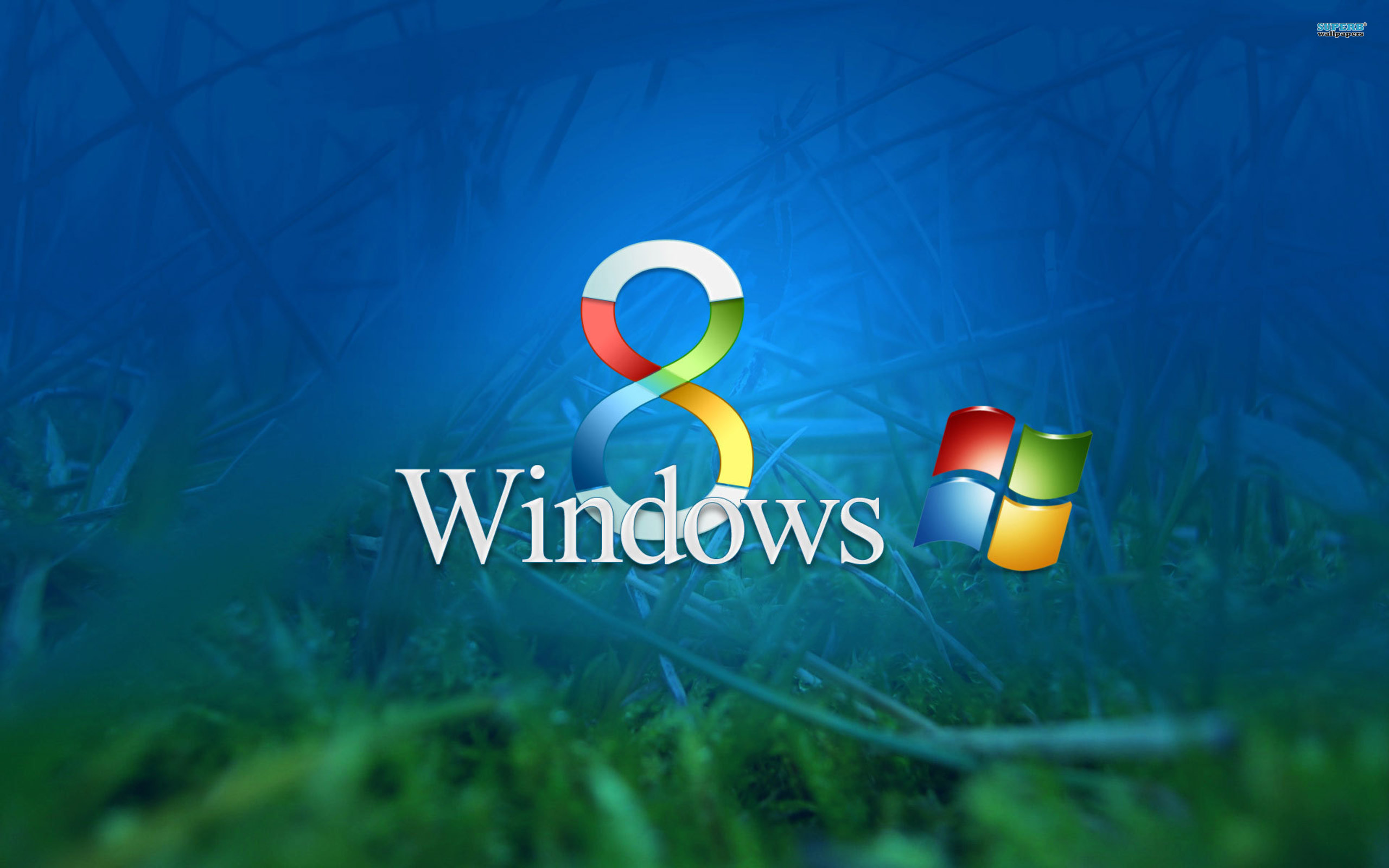 Microsoft Windows 2560x1600