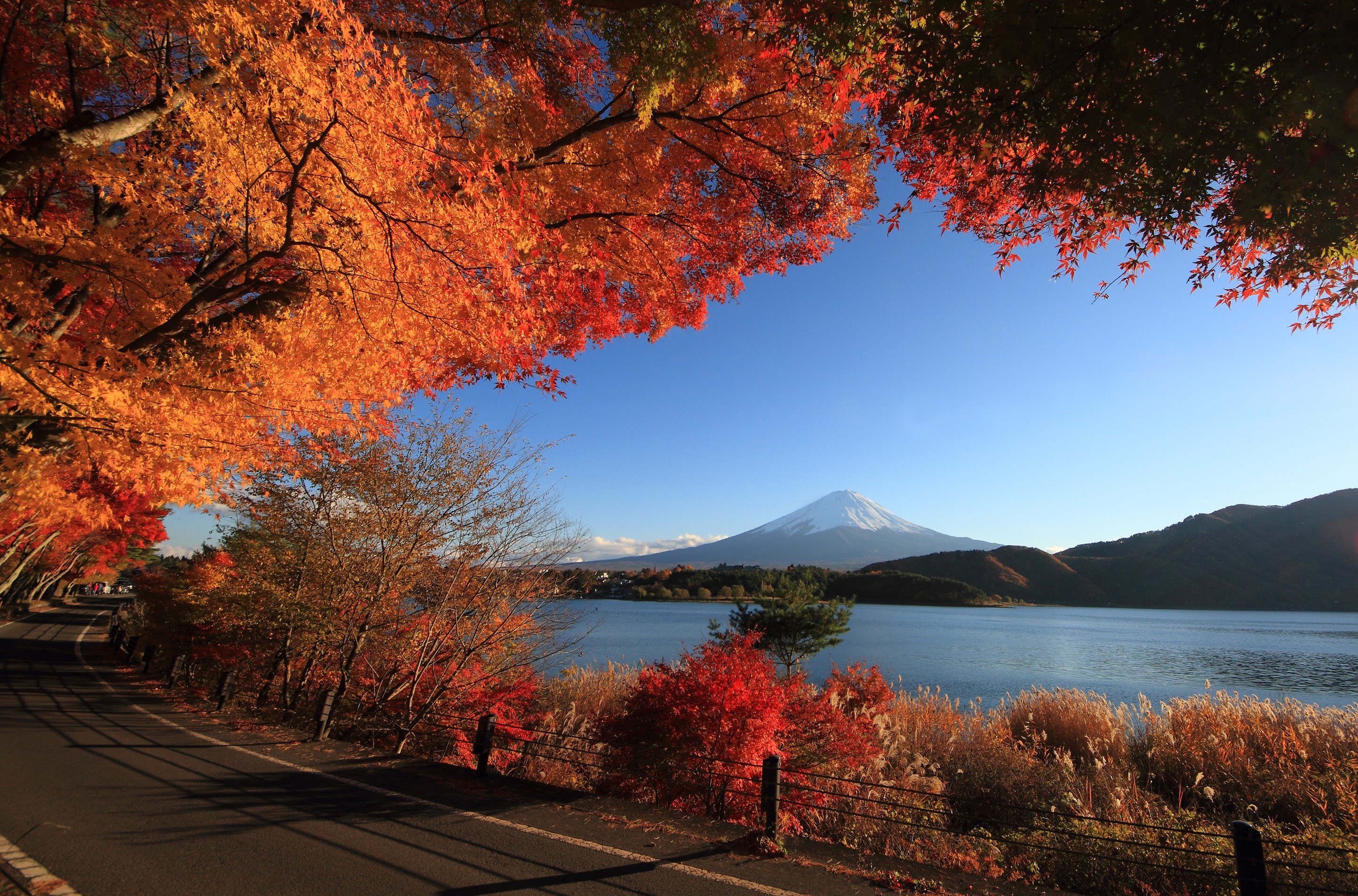 Fall Japan Mount Fuji Volcano 2880x1900