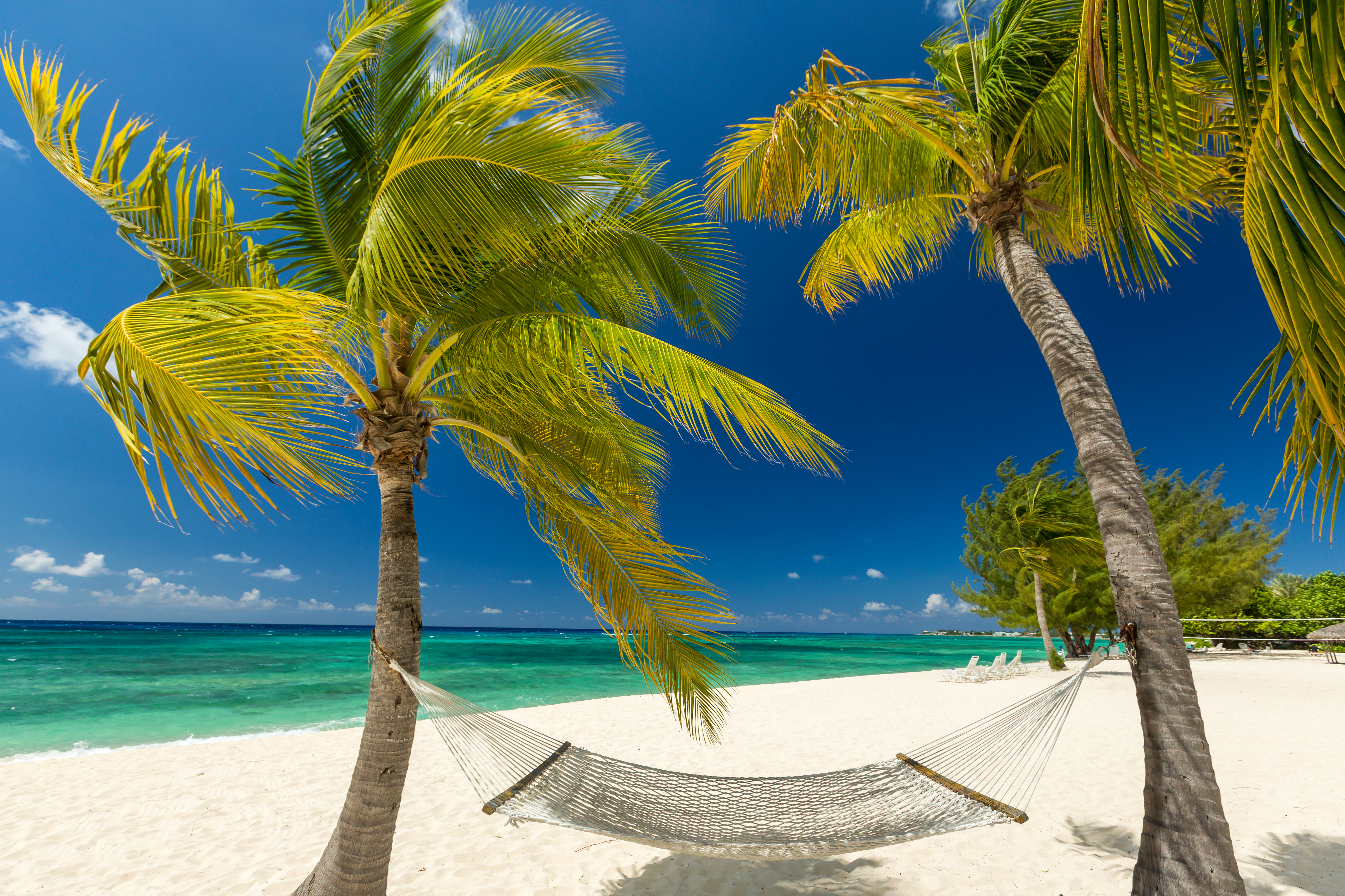 Beach Hammock Horizon Ocean Palm Tree Sand Tropical 4200x2800