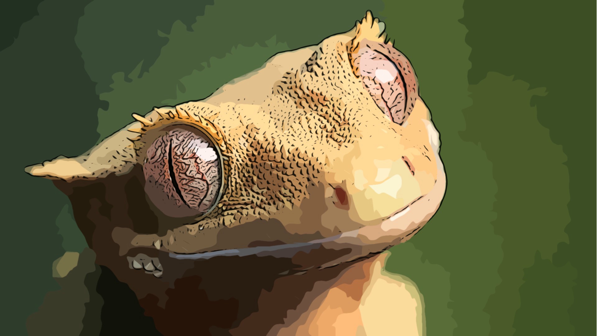 Animal Gecko 1920x1080