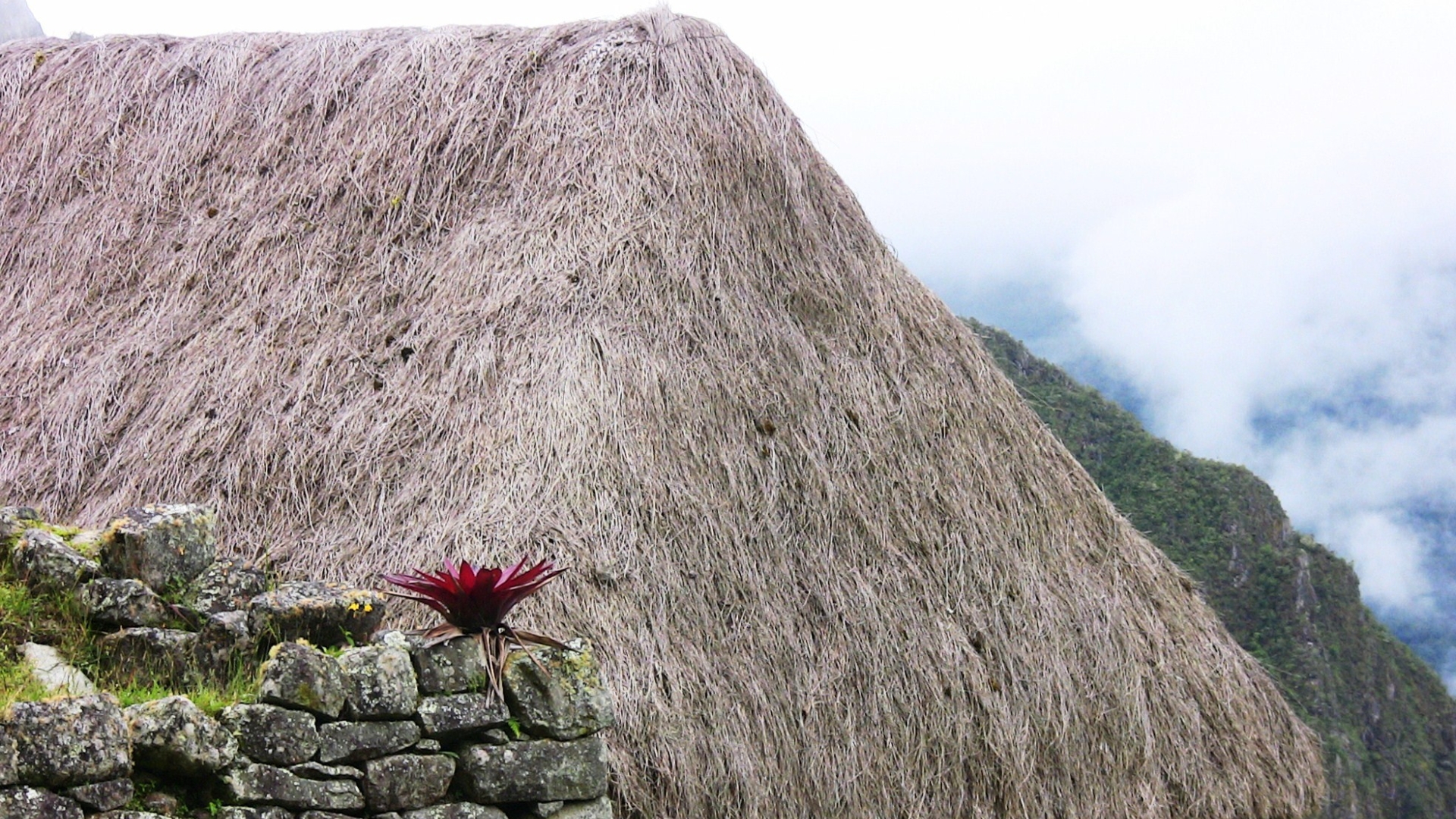Man Made Machu Picchu Wallpaper - Resolution:1920x1080 - ID:860012 ...