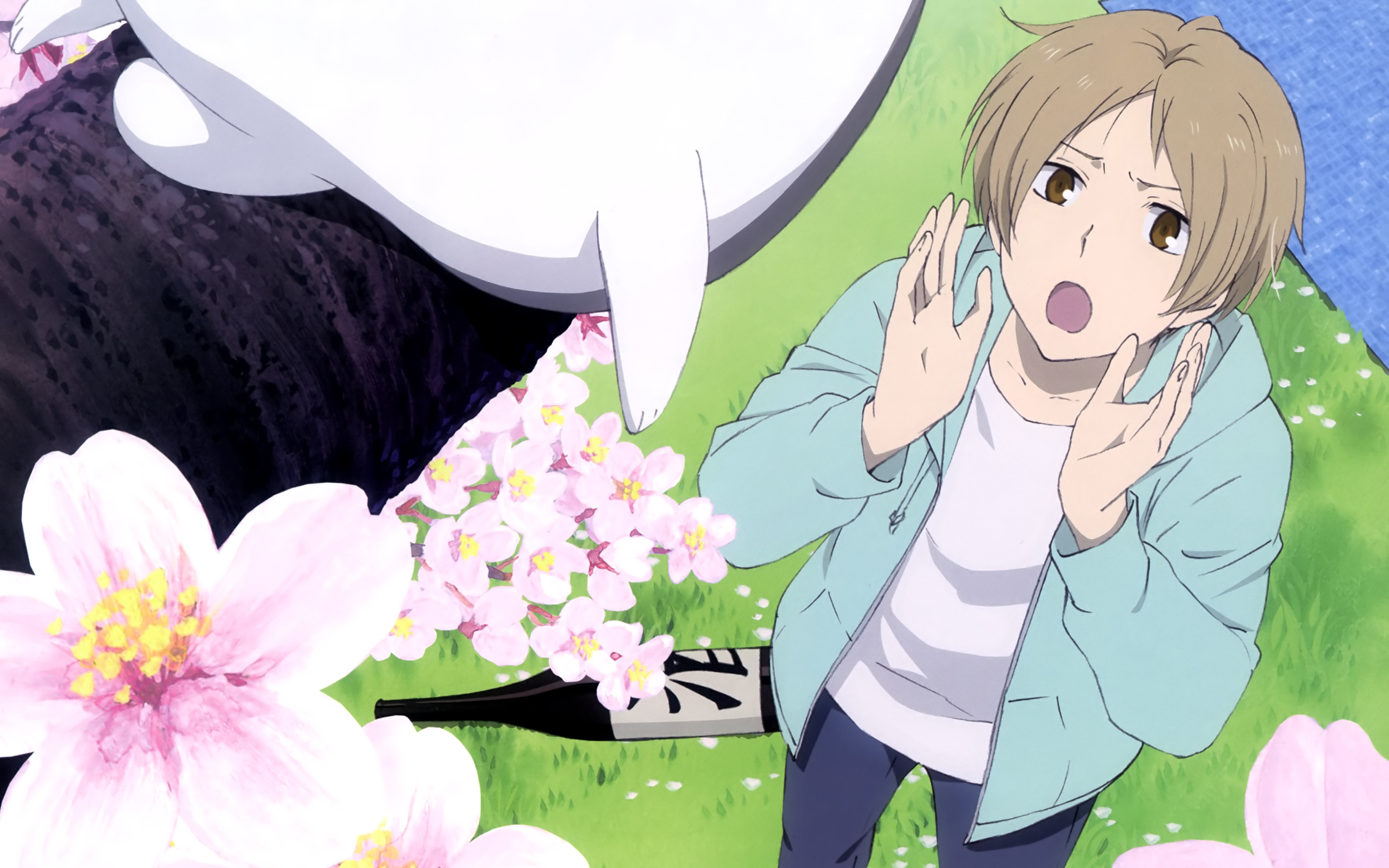 Natsume Yuujinchou 4087x2554