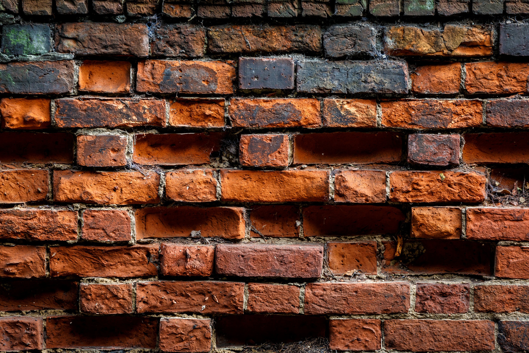 Brick Wall 2048x1365