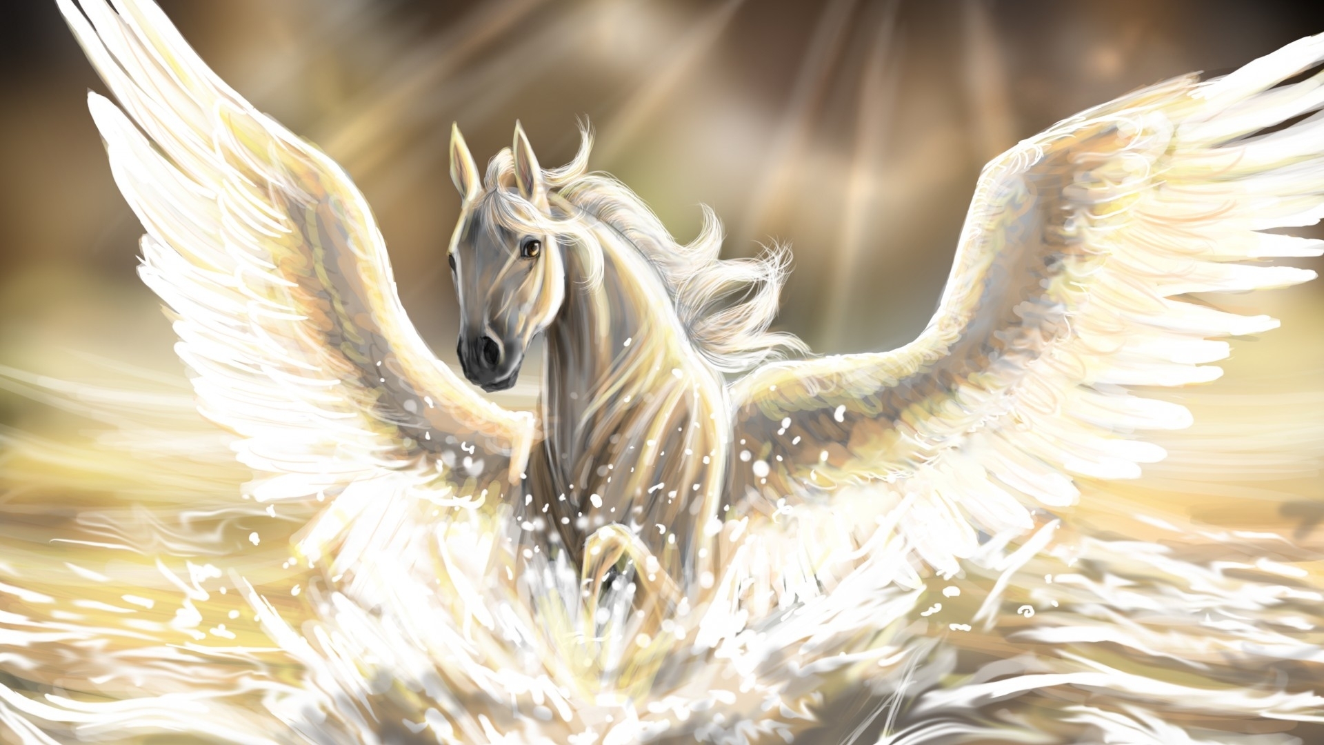 Fantasy Pegasus 1920x1080