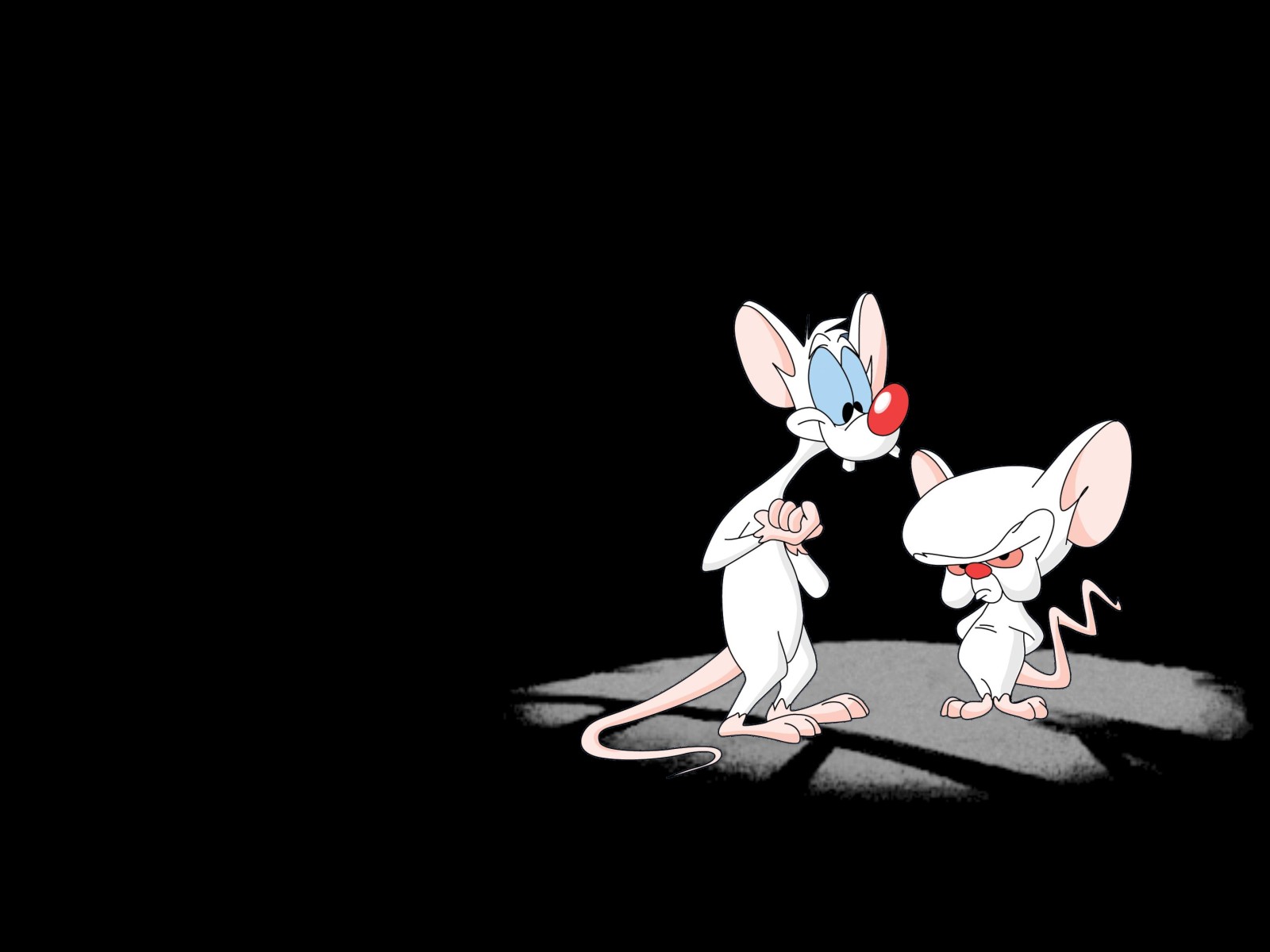TV Show Pinky And The Brain 1600x1200