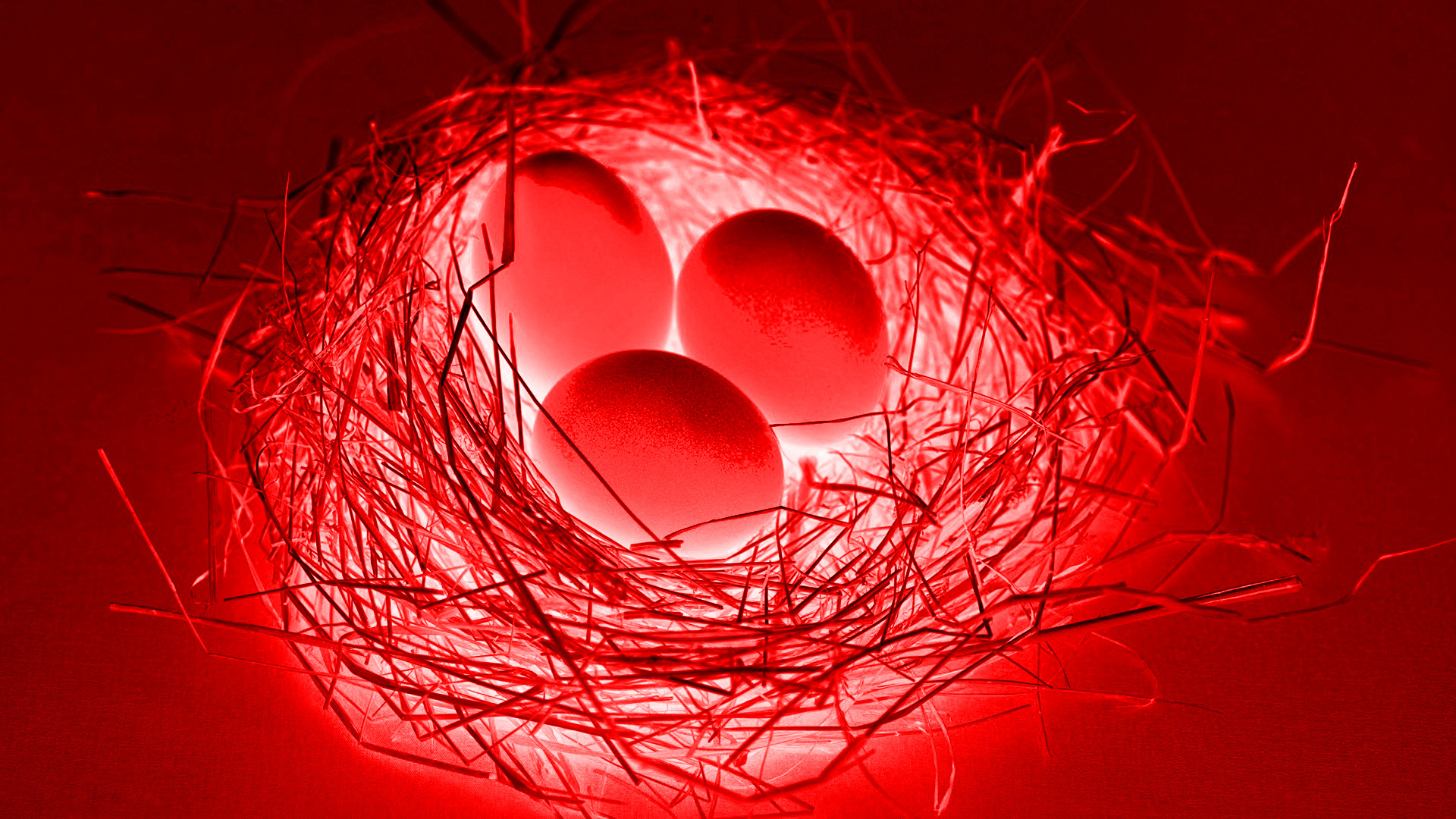 Abstract Colors Egg Red 1920x1080