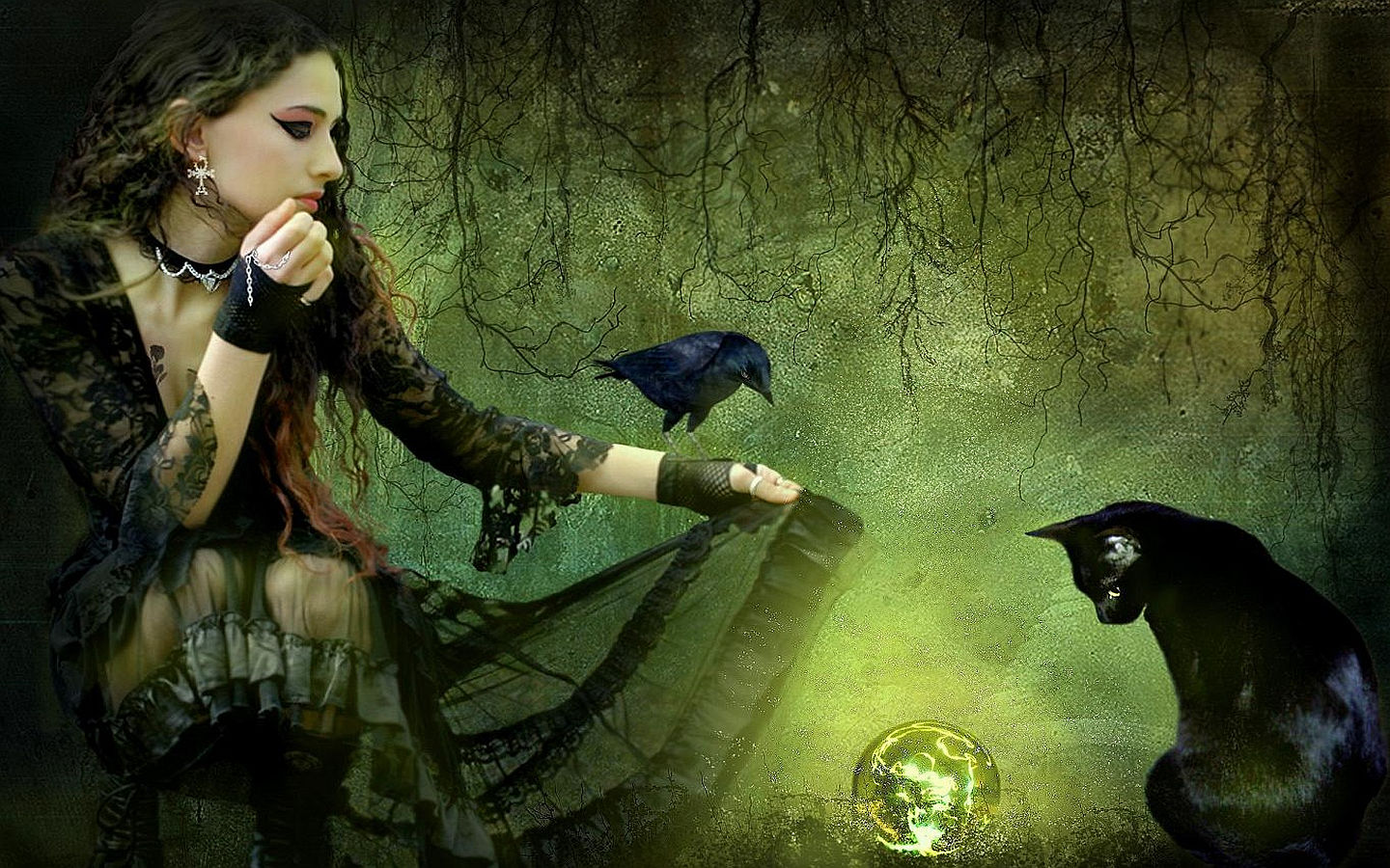 Cat Crystal Ball Forest Magic Raven Witch Woman 1440x900