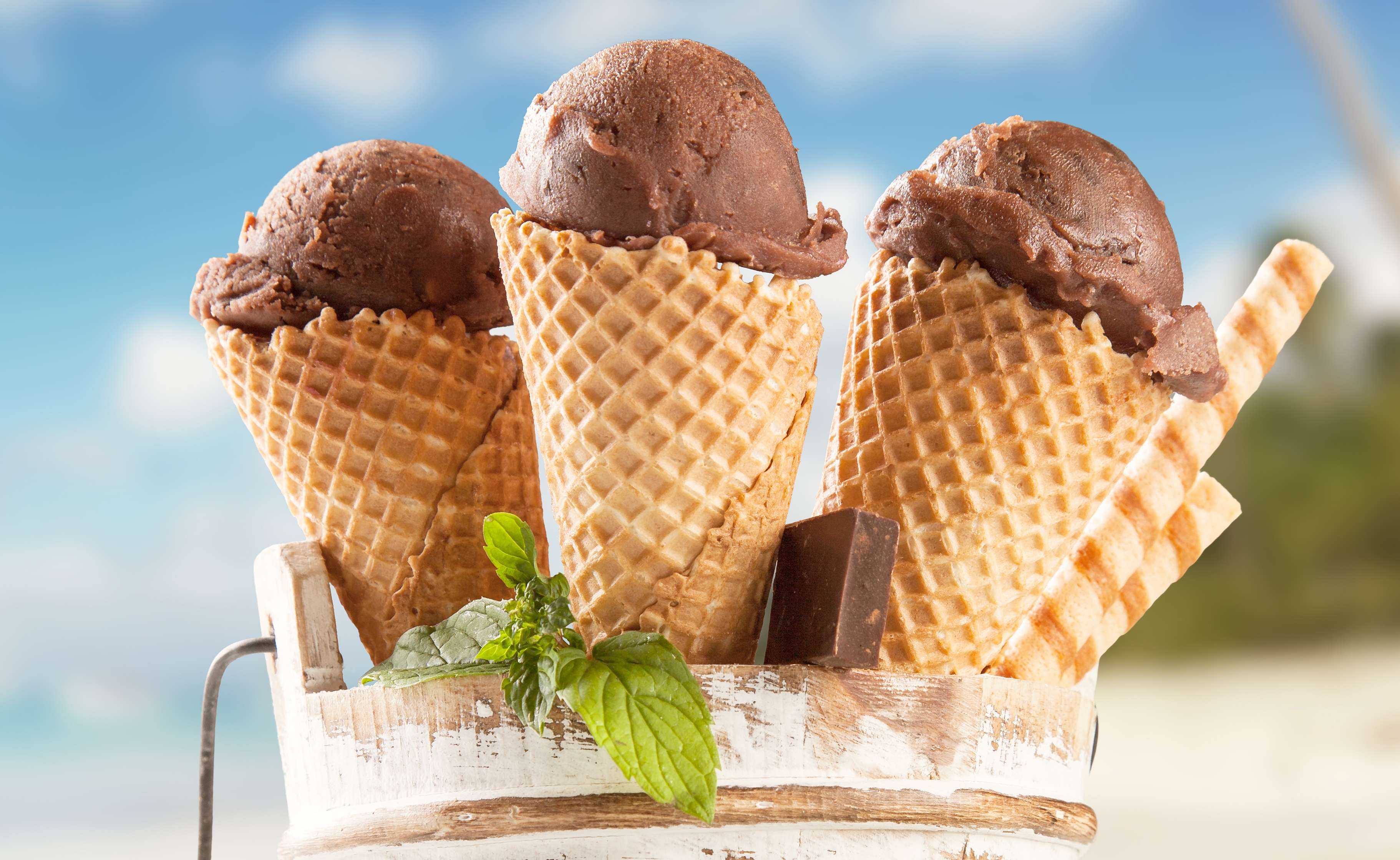Chocolate Ice Cream Mint Summer 3644x2238