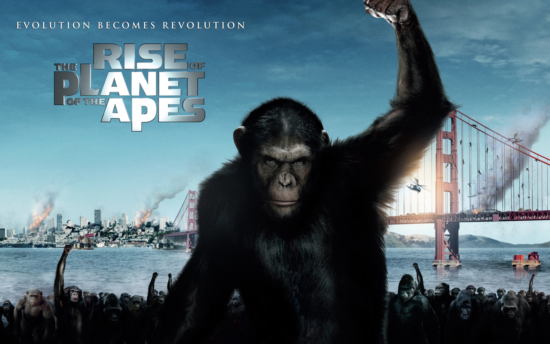 Movie Rise Of The Planet Of The Apes 1920x1200