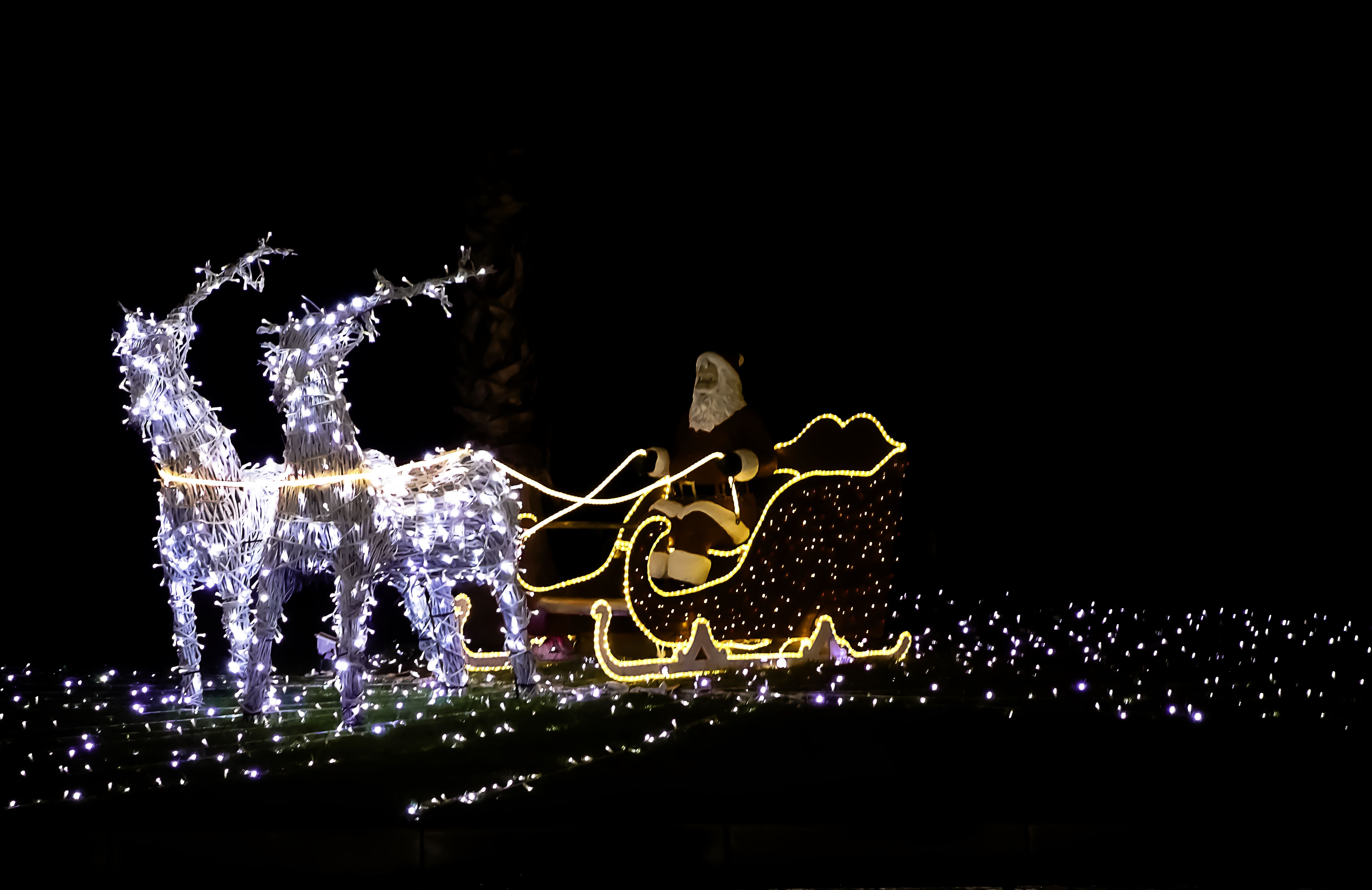 Christmas Christmas Lights Reindeer Santa Sleigh 5472x3550