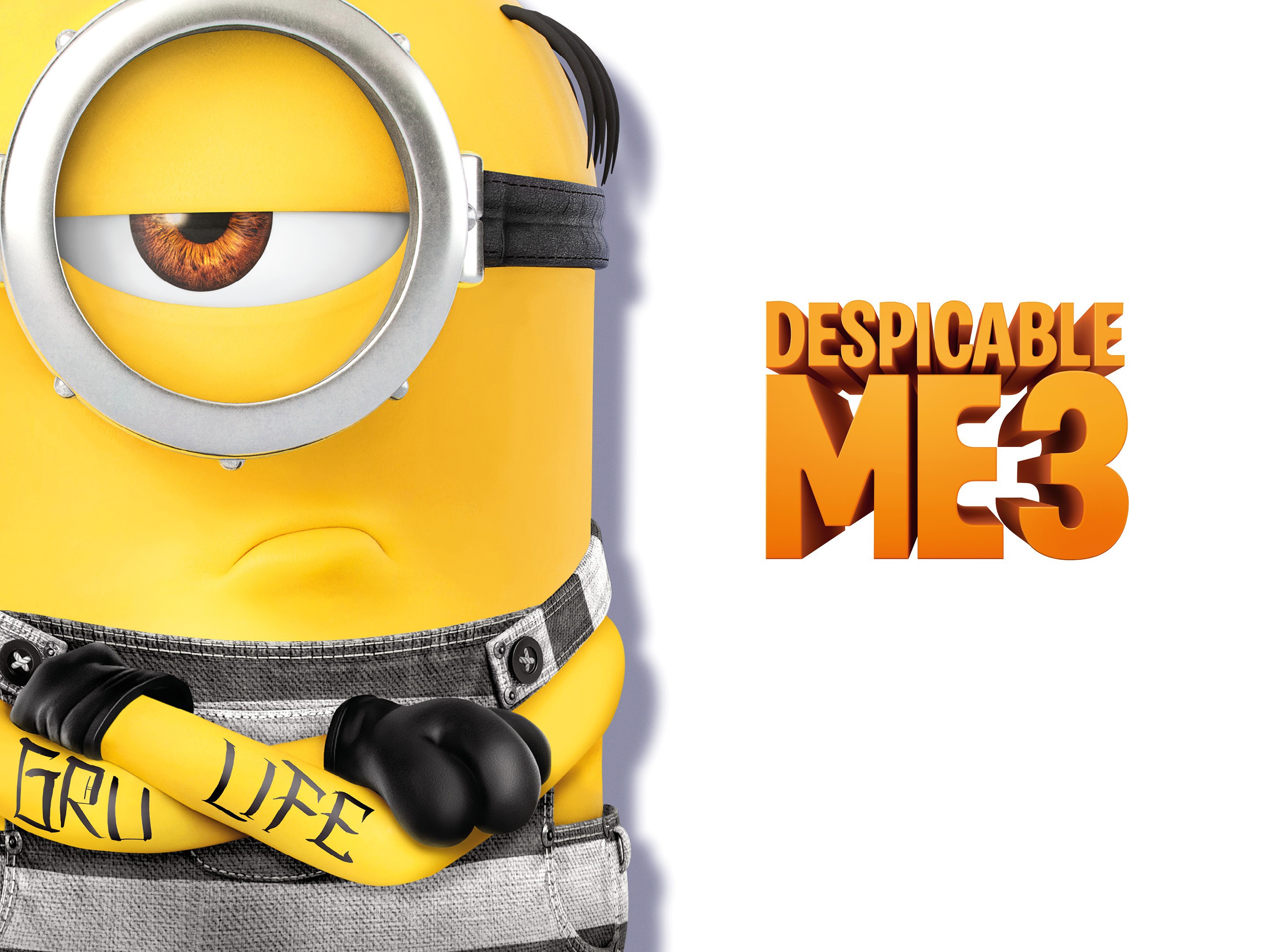 Despicable Me 3 Stuart Minions 2880x2160