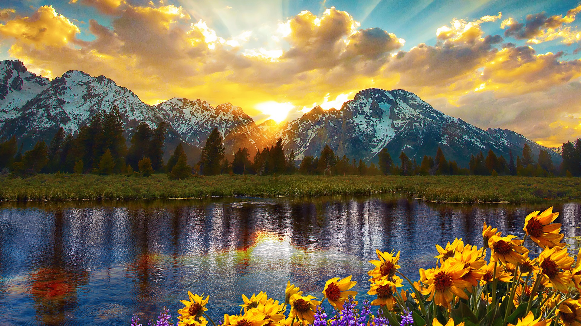 Nature Landscape Flowers Clouds Sky Mountains Sun Rays Sunflowers River Grand Teton National Park Wy 1920x1080
