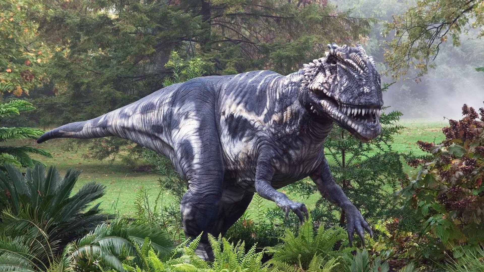 Tyrannosaurus Rex 1920x1080