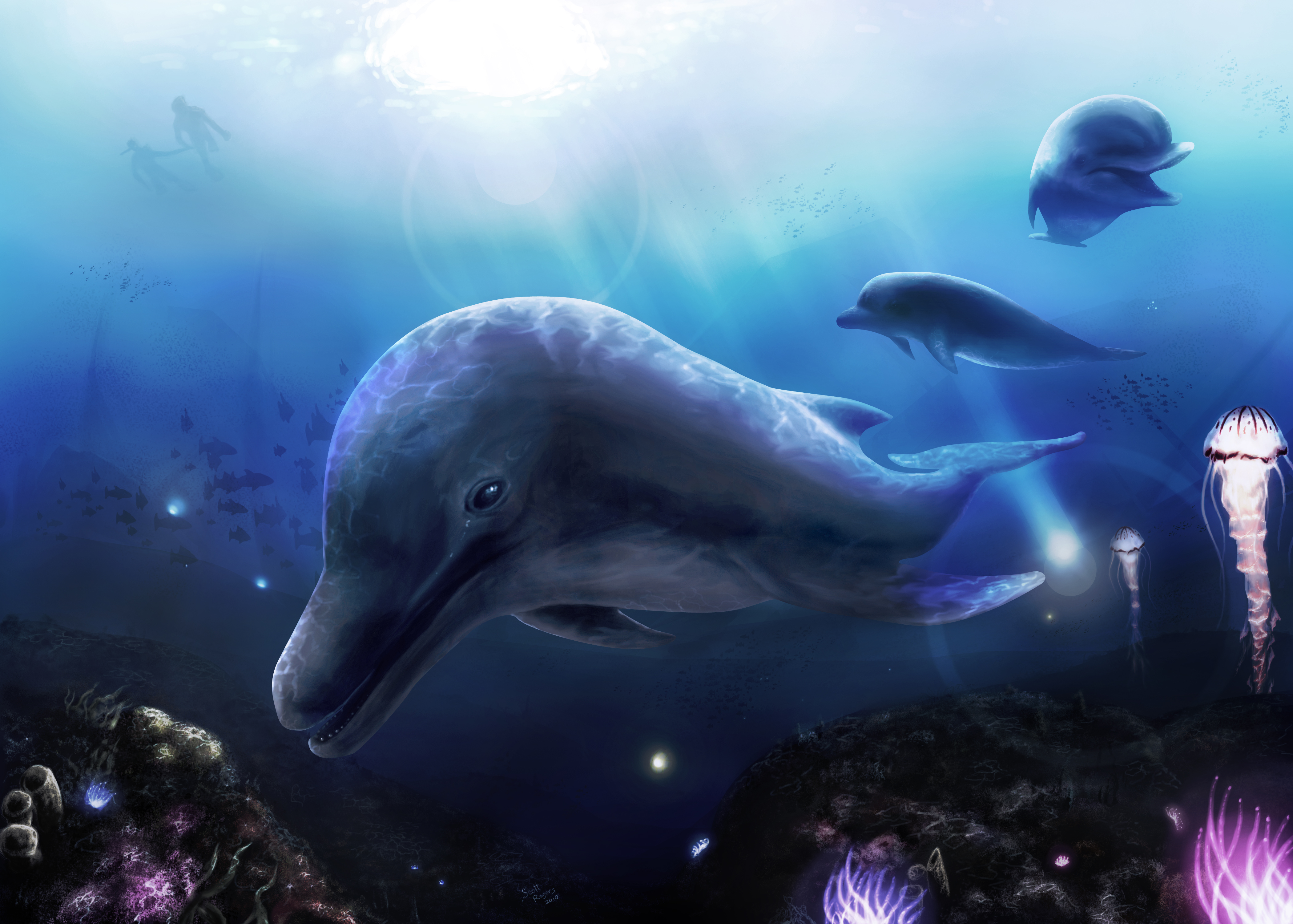 Artistic Dolphin Sea Life Underwater 4200x3000