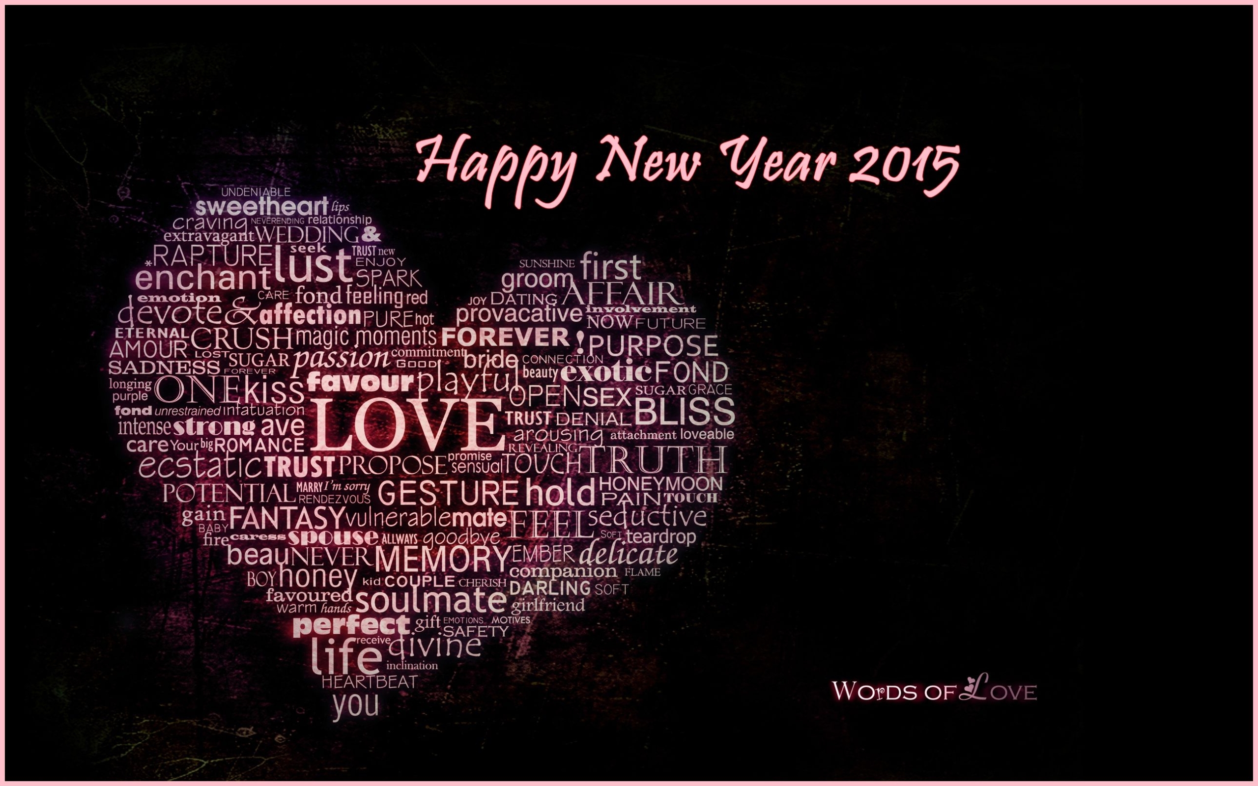 Holiday New Year 2015 2560x1600