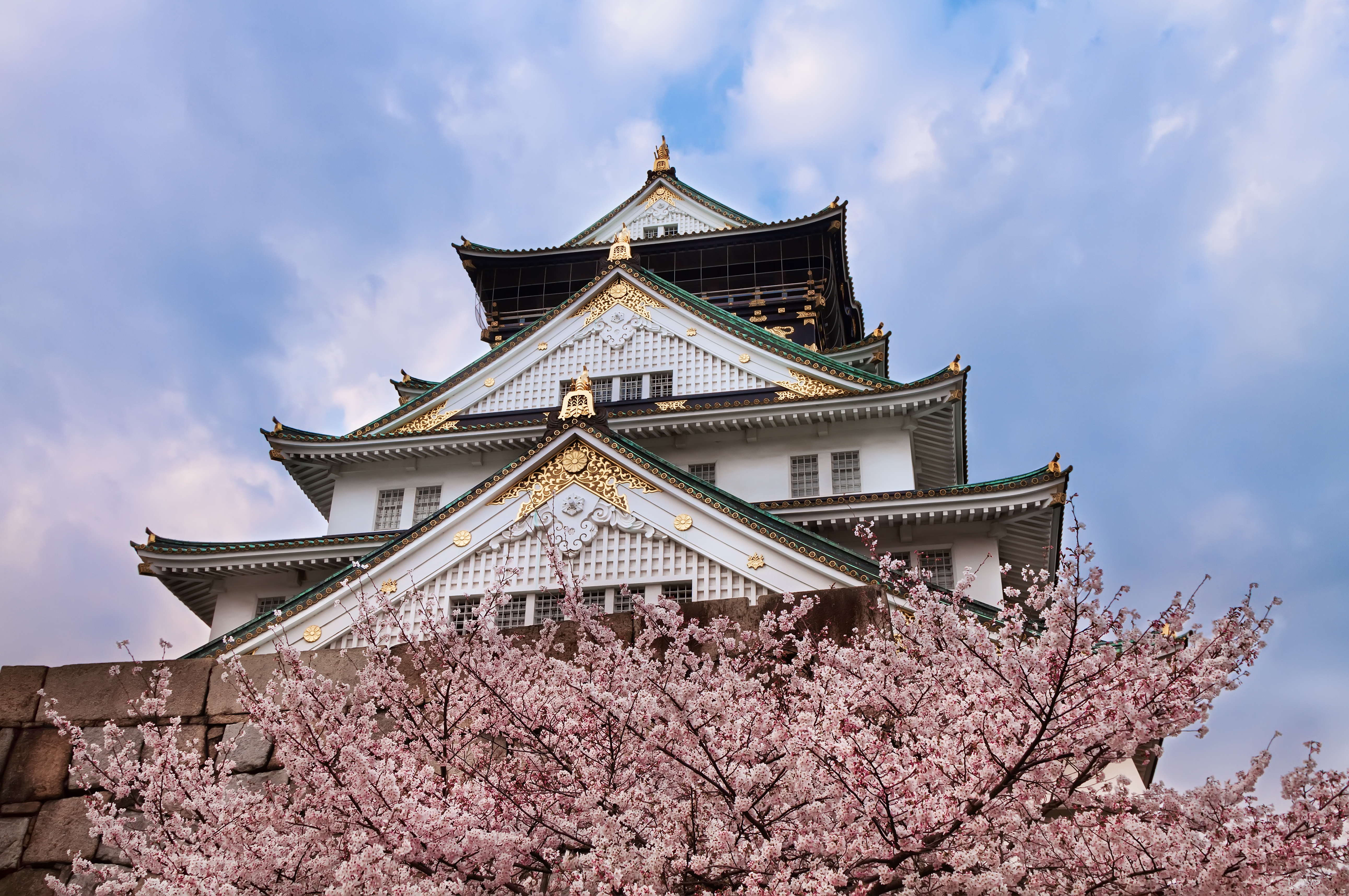 Cherry Blossom Japan Osaka Castle Sakura Spring 5164x3432